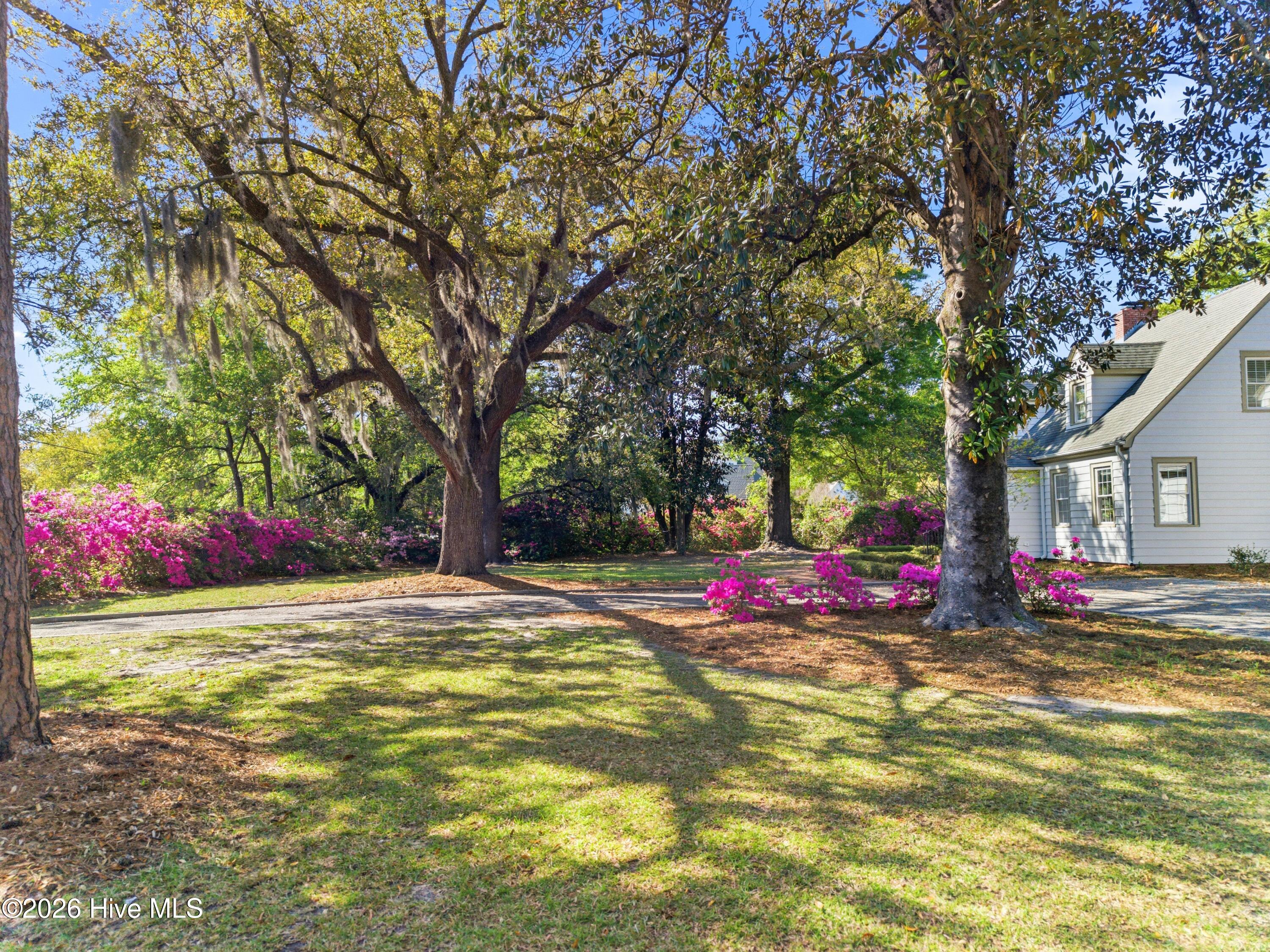 2901 Oleander Drive Property Photo 4