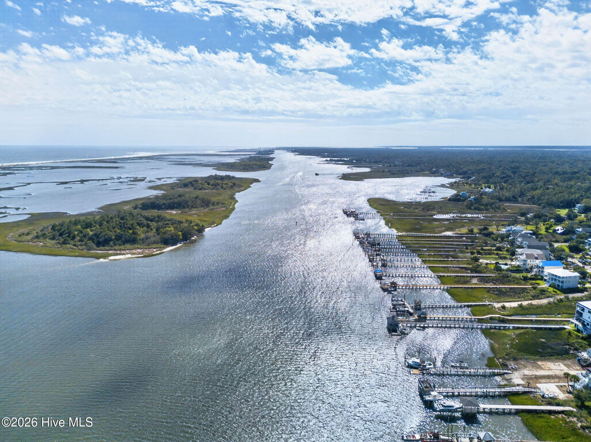 1406 Marsh Cove Lane Property Photo 46