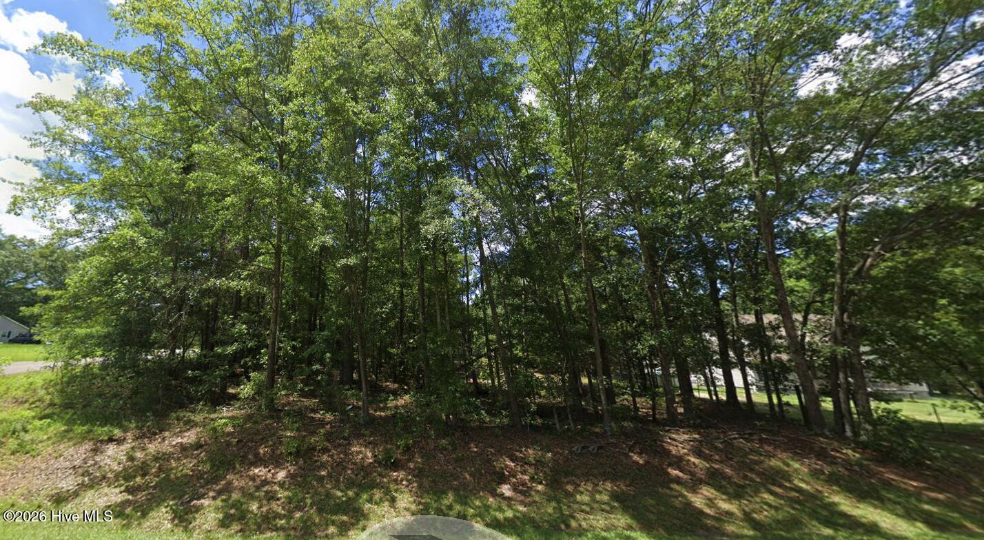 00 Ravenwood Road Property Photo 2