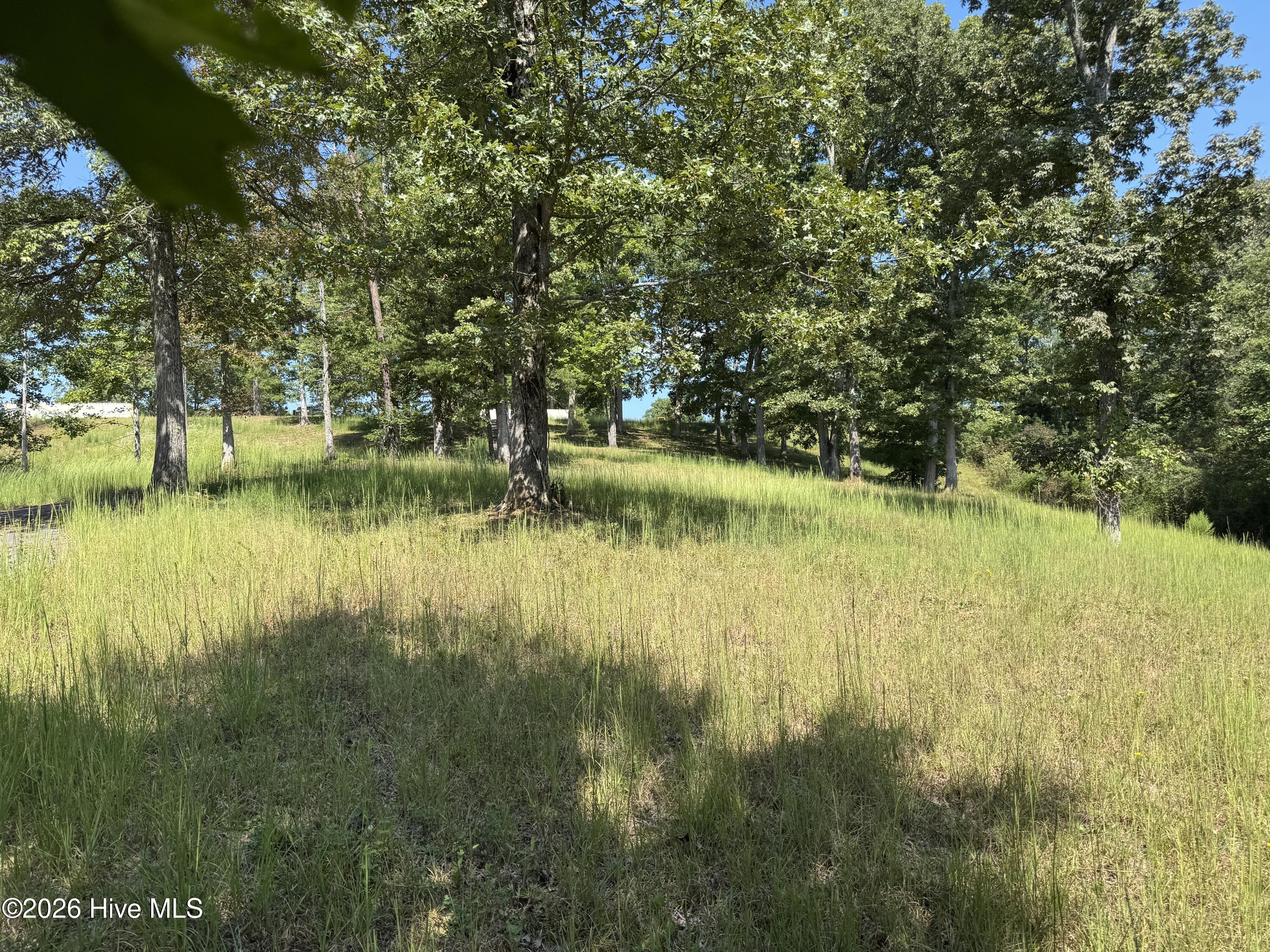 48 32 Spirit Bear Drive Property Photo 7