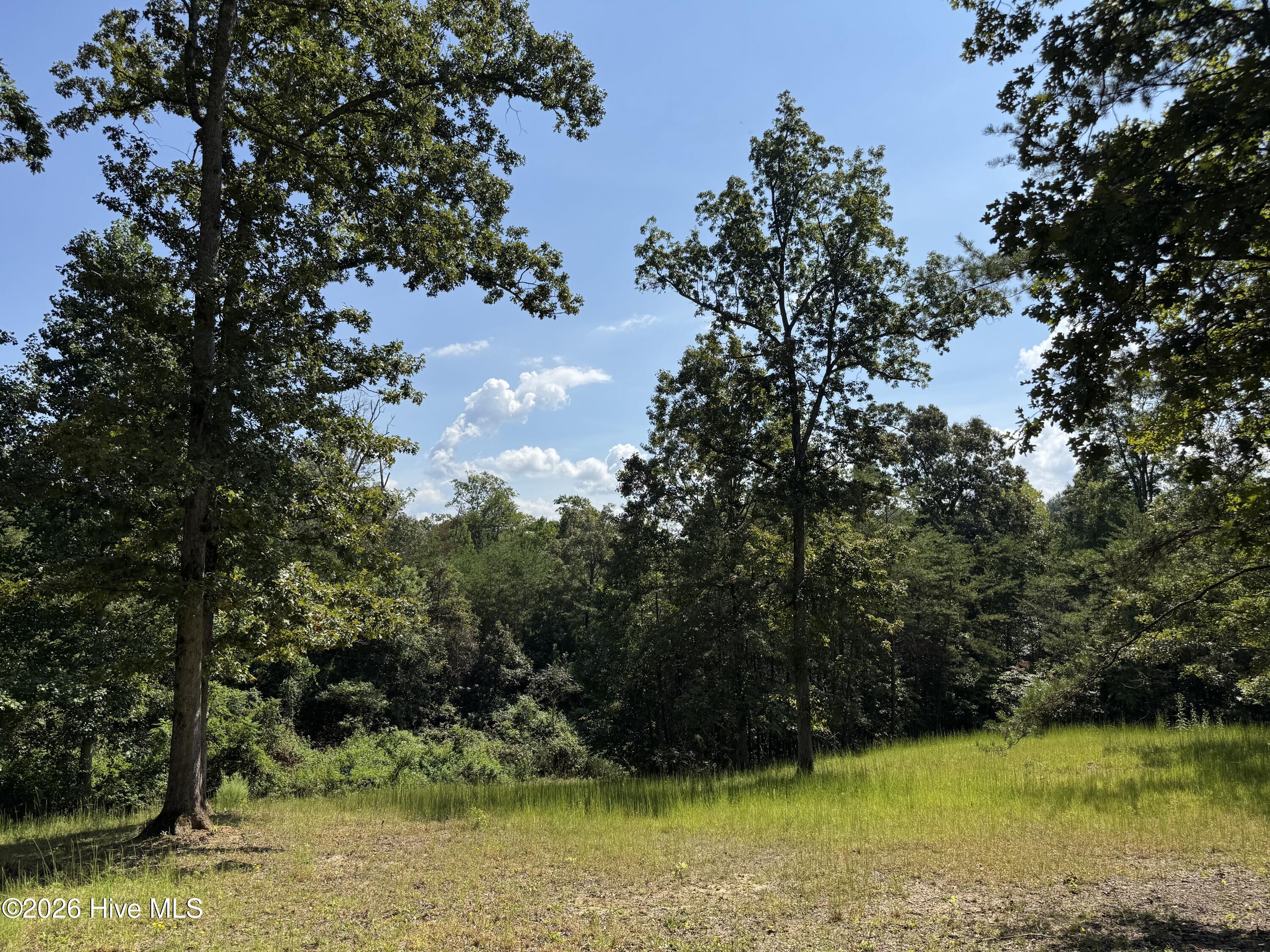 48 32 Spirit Bear Drive Property Photo 8