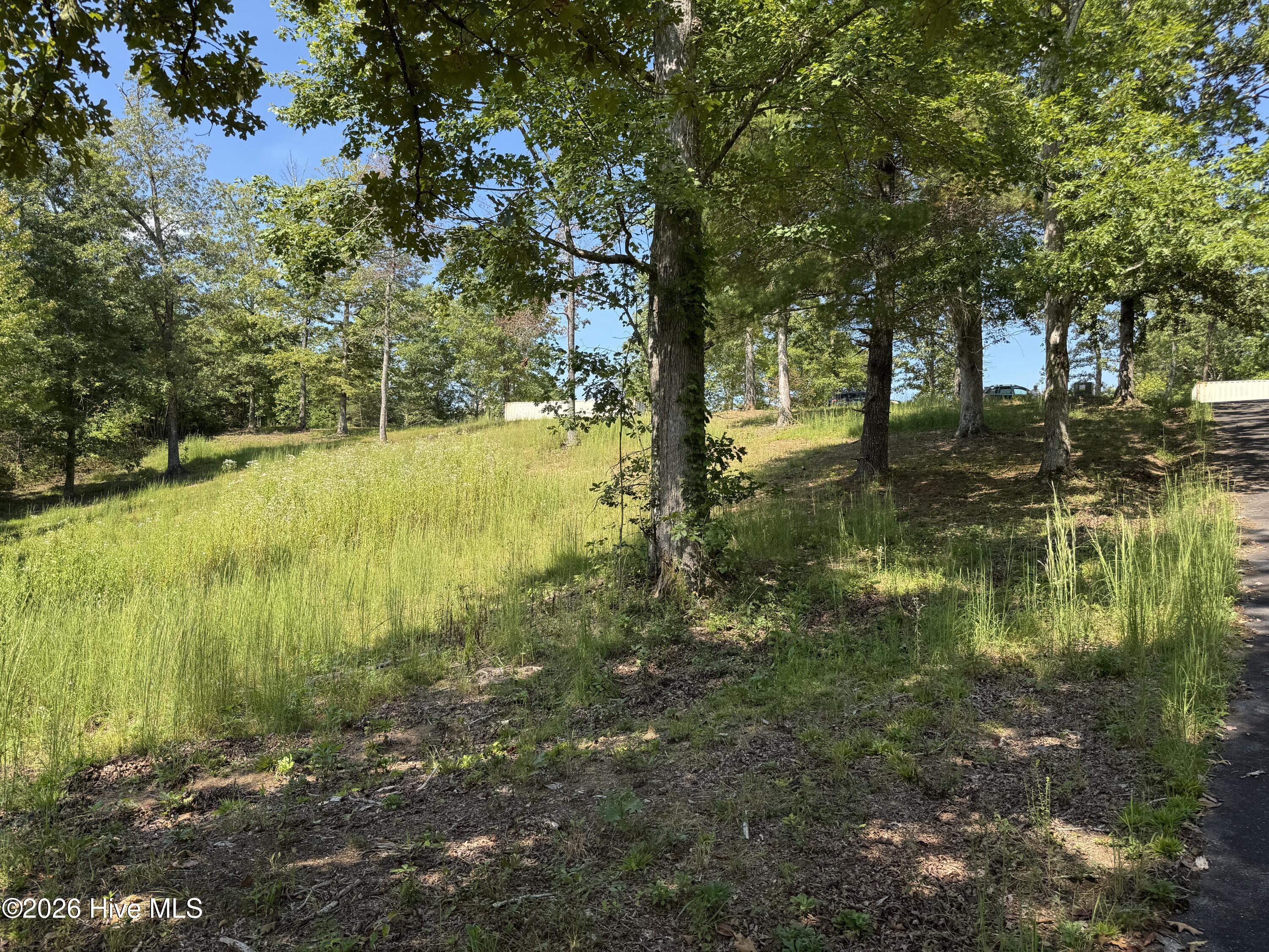 48 32 Spirit Bear Drive Property Photo 11
