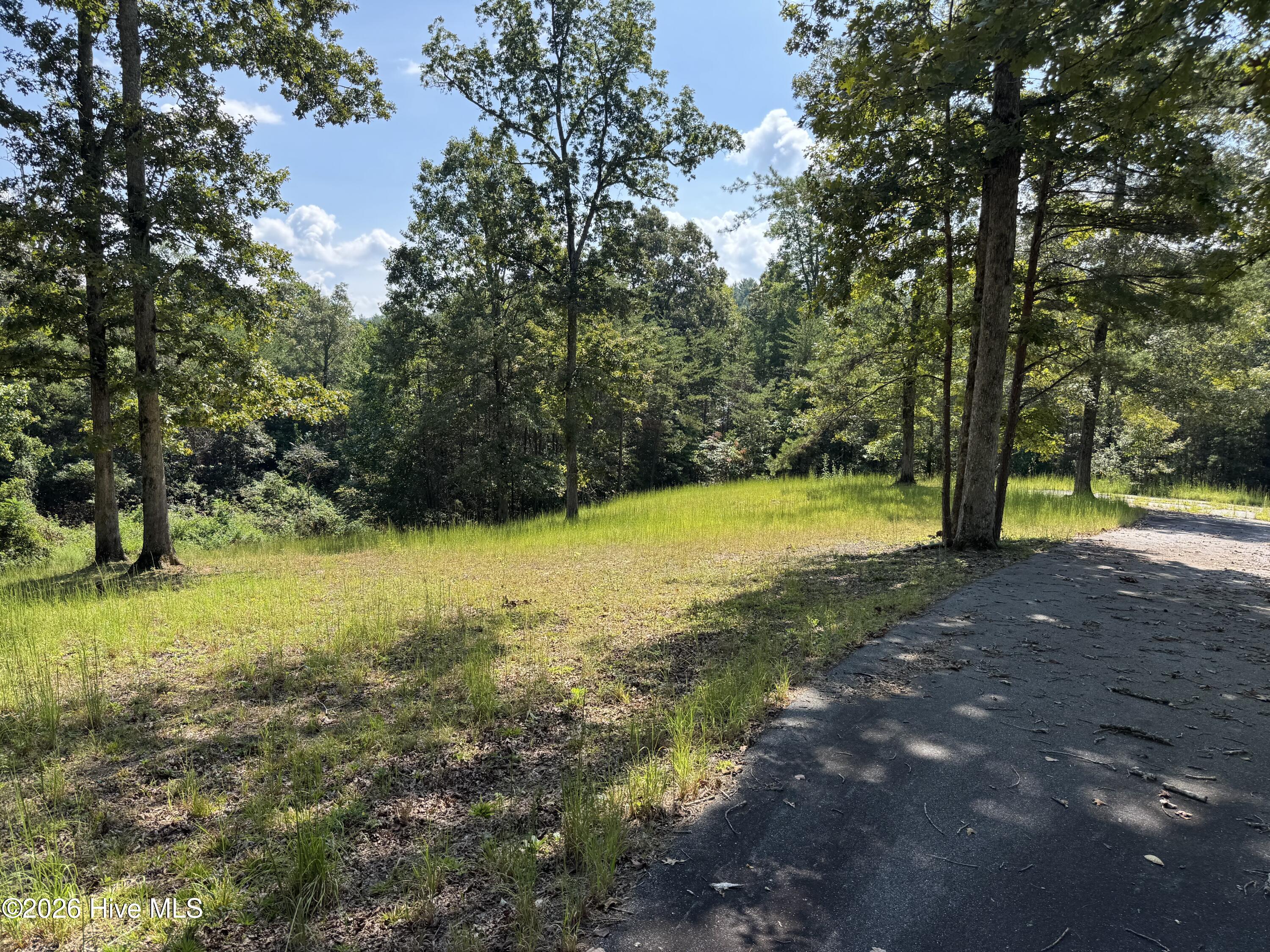 48 32 Spirit Bear Drive Property Photo 12