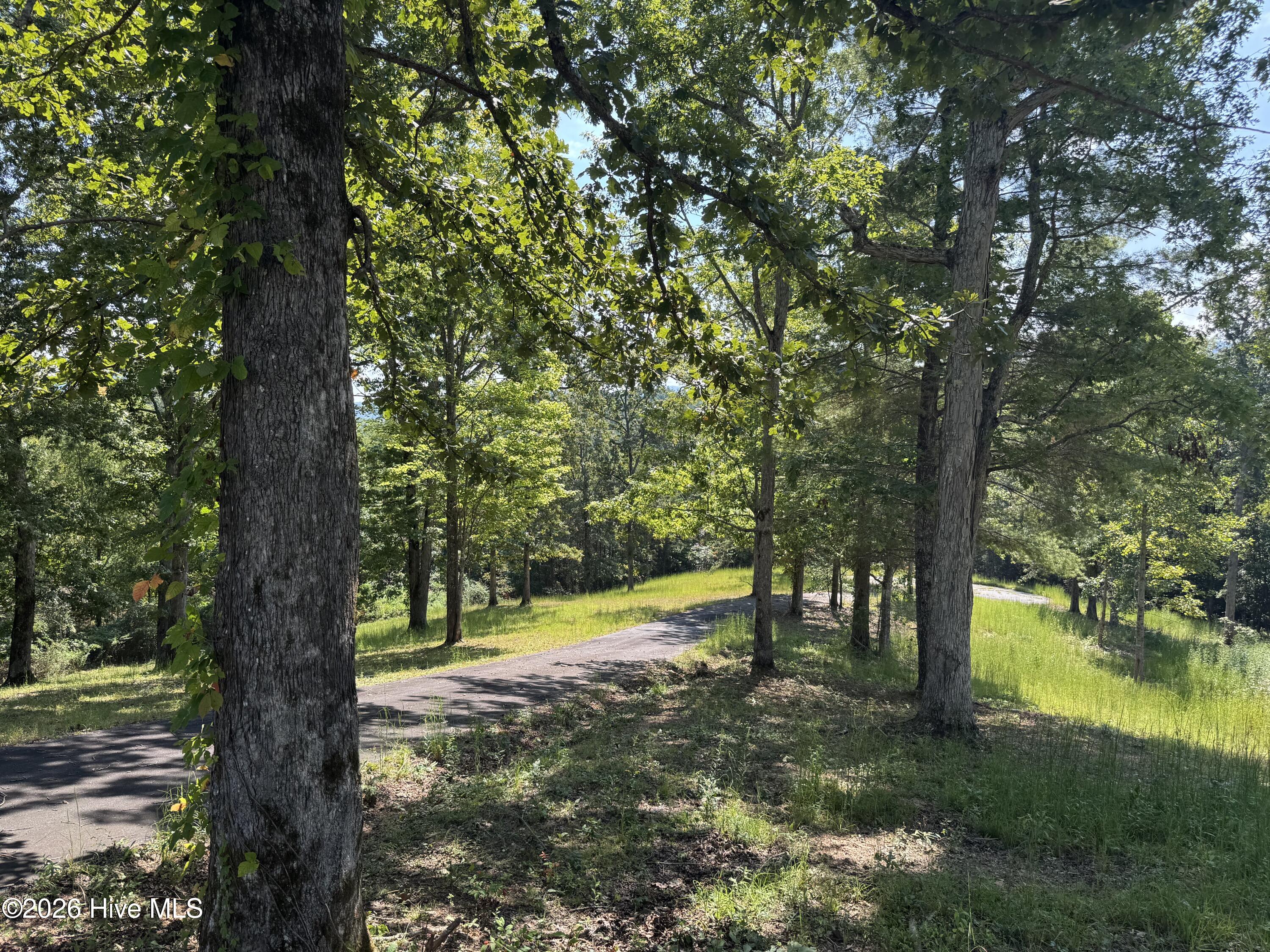 48 32 Spirit Bear Drive Property Photo 13
