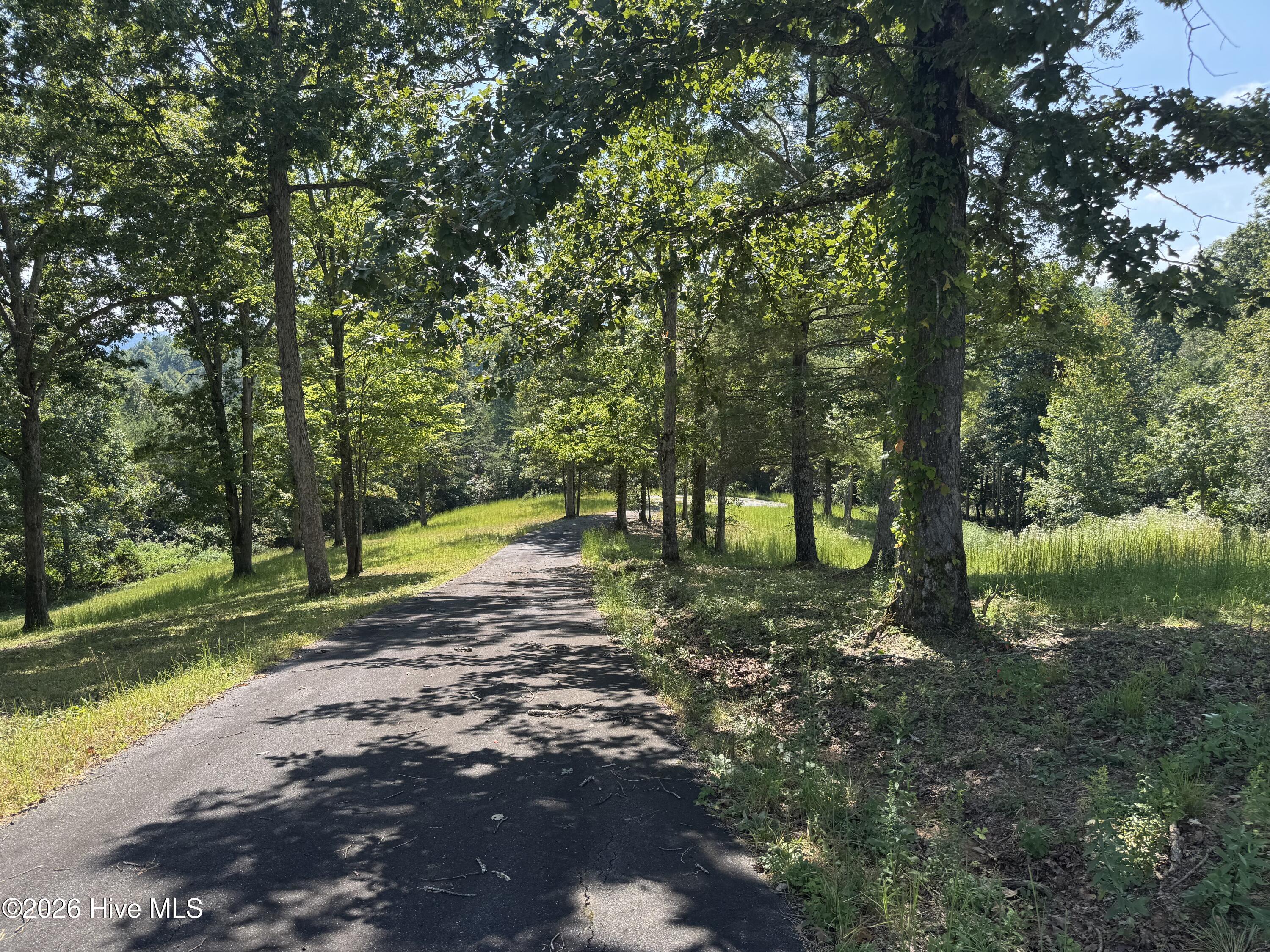 48 32 Spirit Bear Drive Property Photo 15