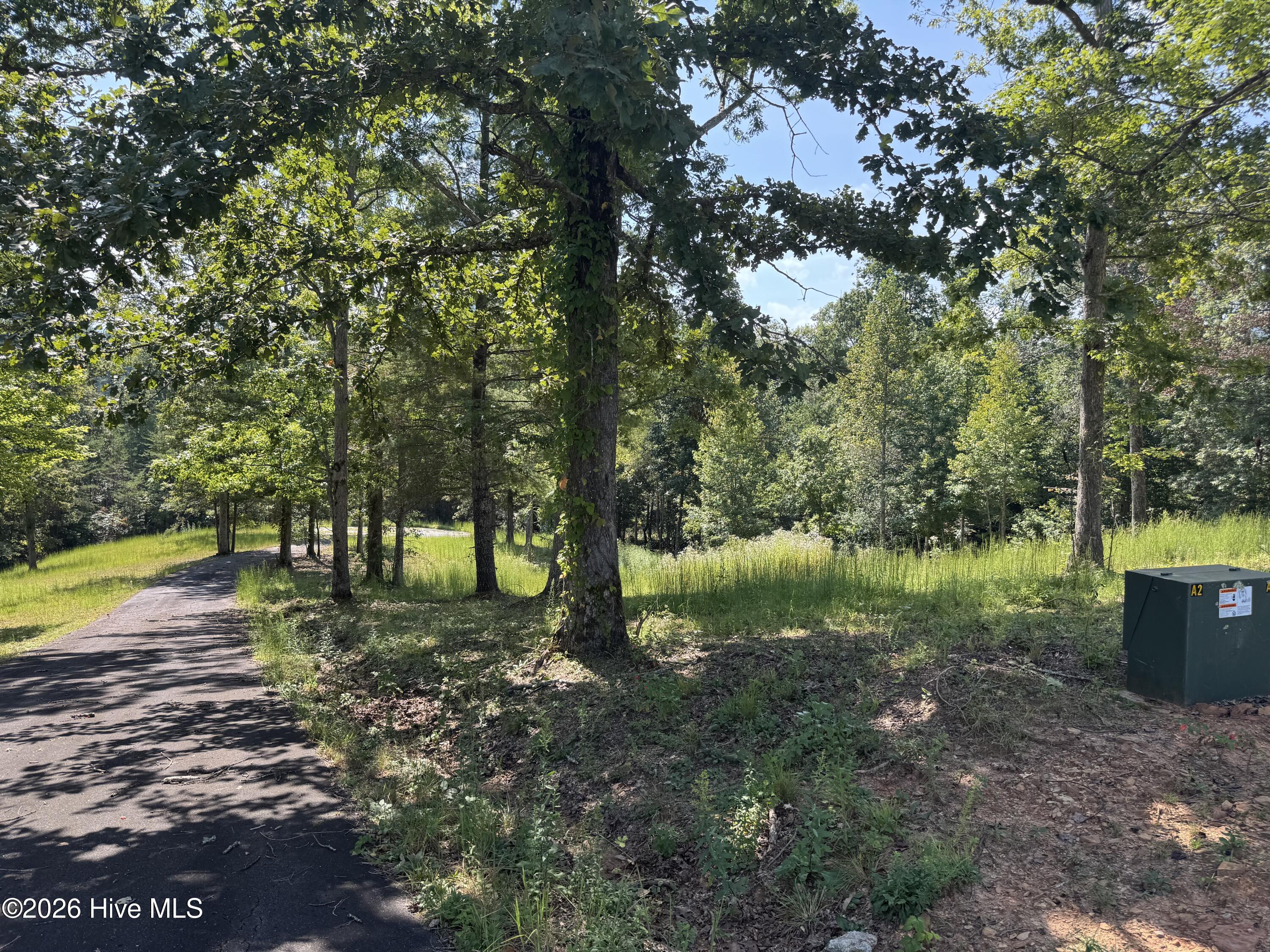 48 32 Spirit Bear Drive Property Photo 16