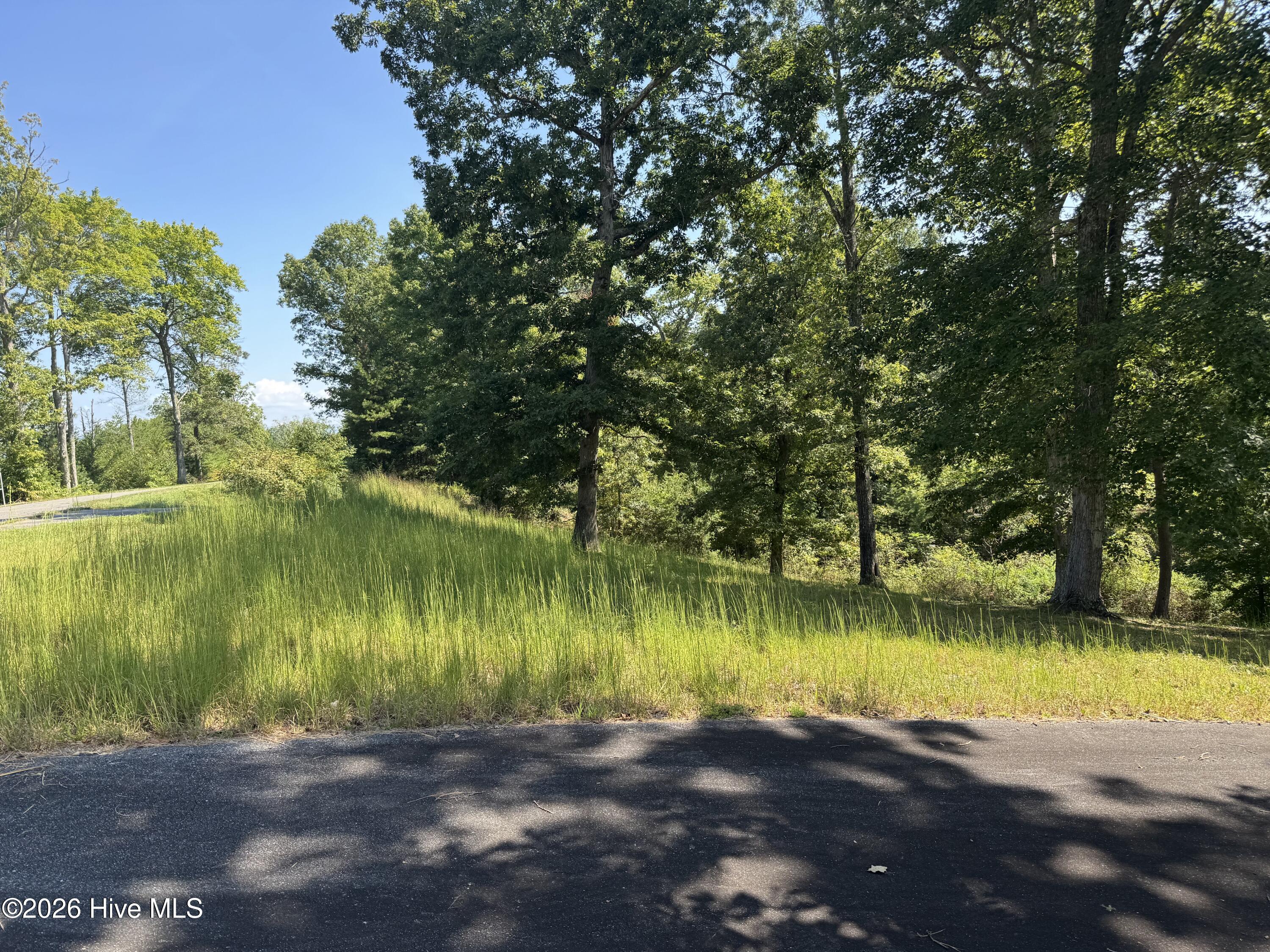 48 32 Spirit Bear Drive Property Photo 19