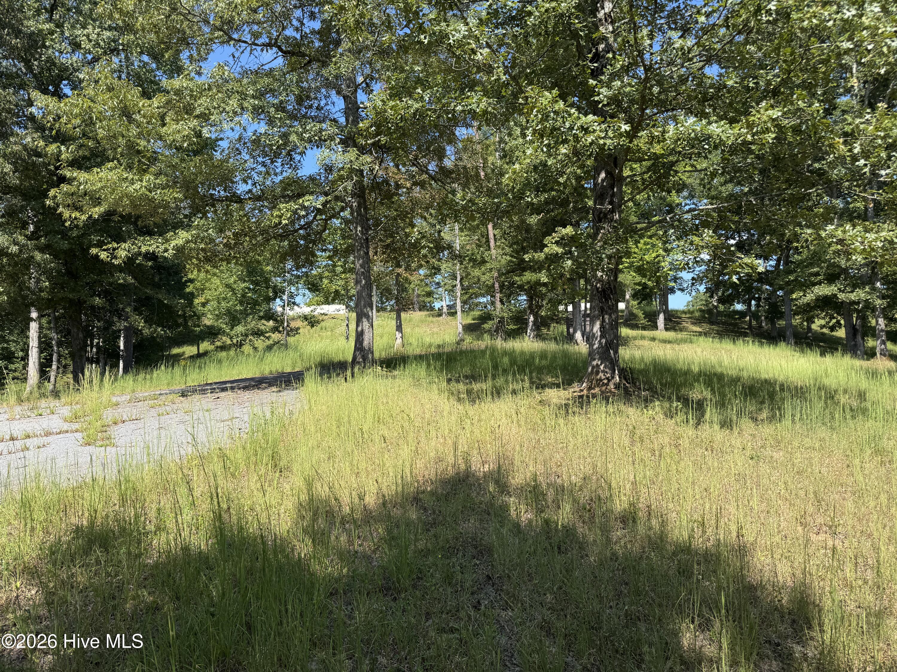 39 Spirit Bear Drive Property Photo 4
