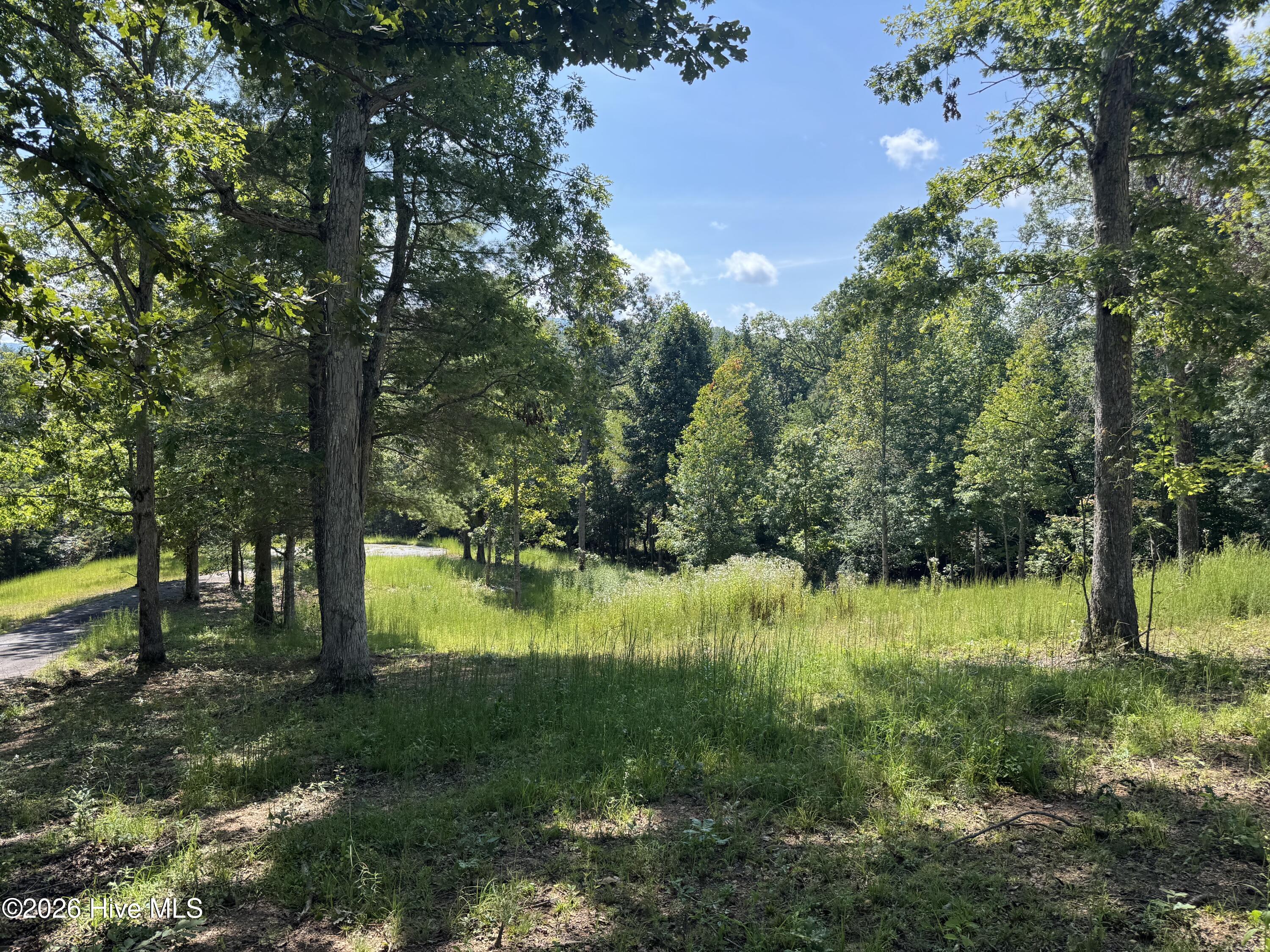 39 Spirit Bear Drive Property Photo 12