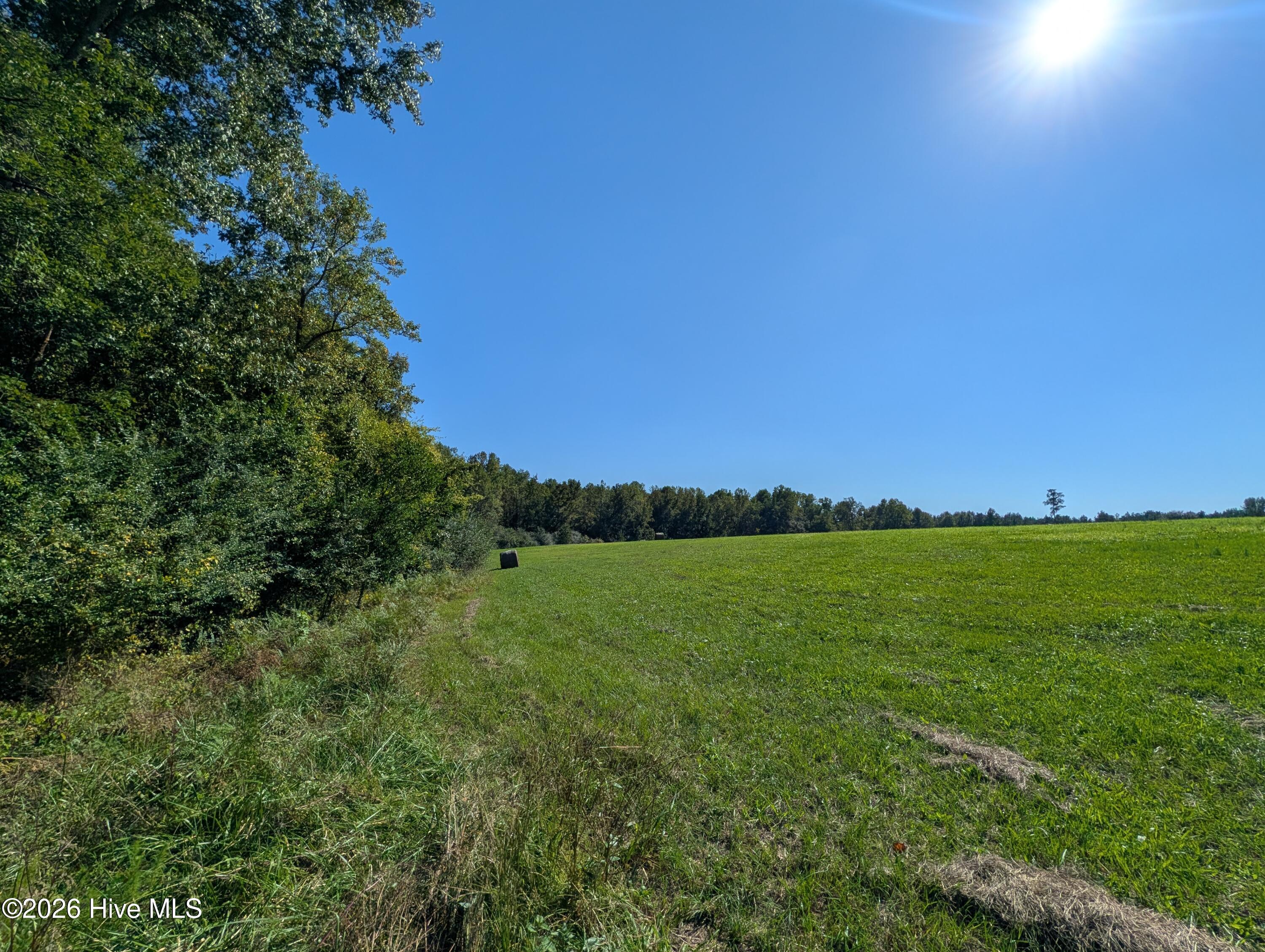 Tbd County Line Road Property Photo 3