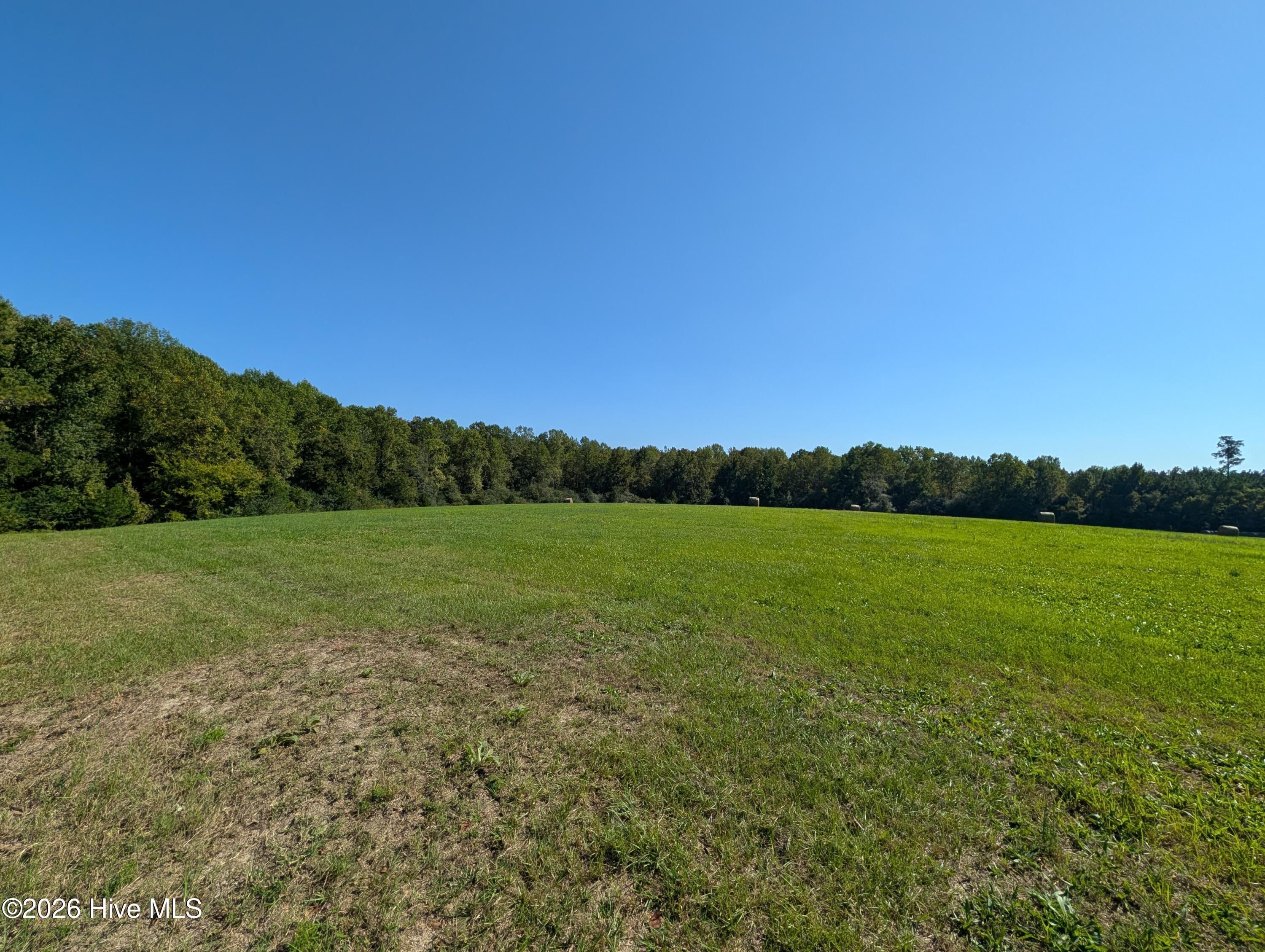 Tbd County Line Road Property Photo 4