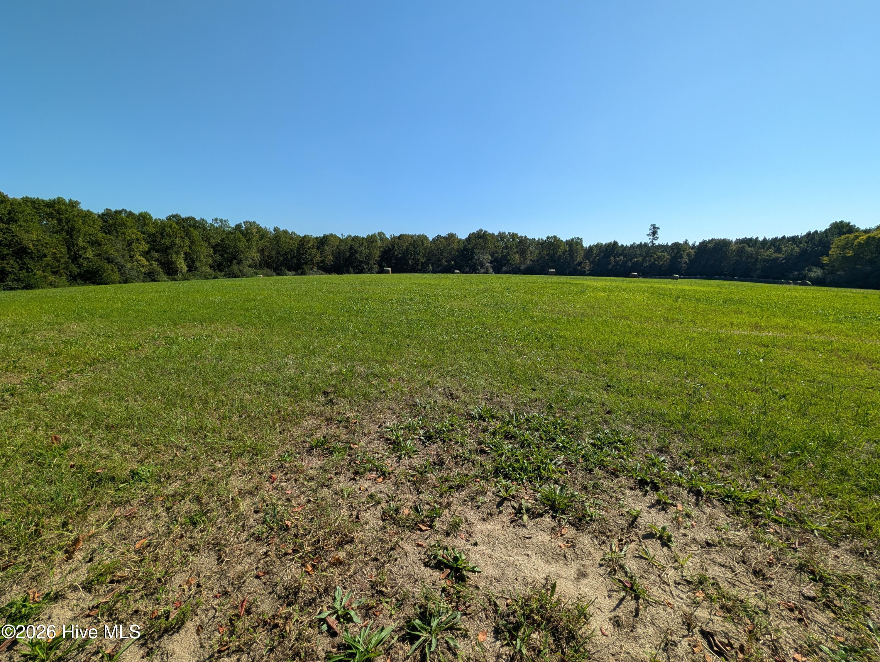 Tbd County Line Road Property Photo 5