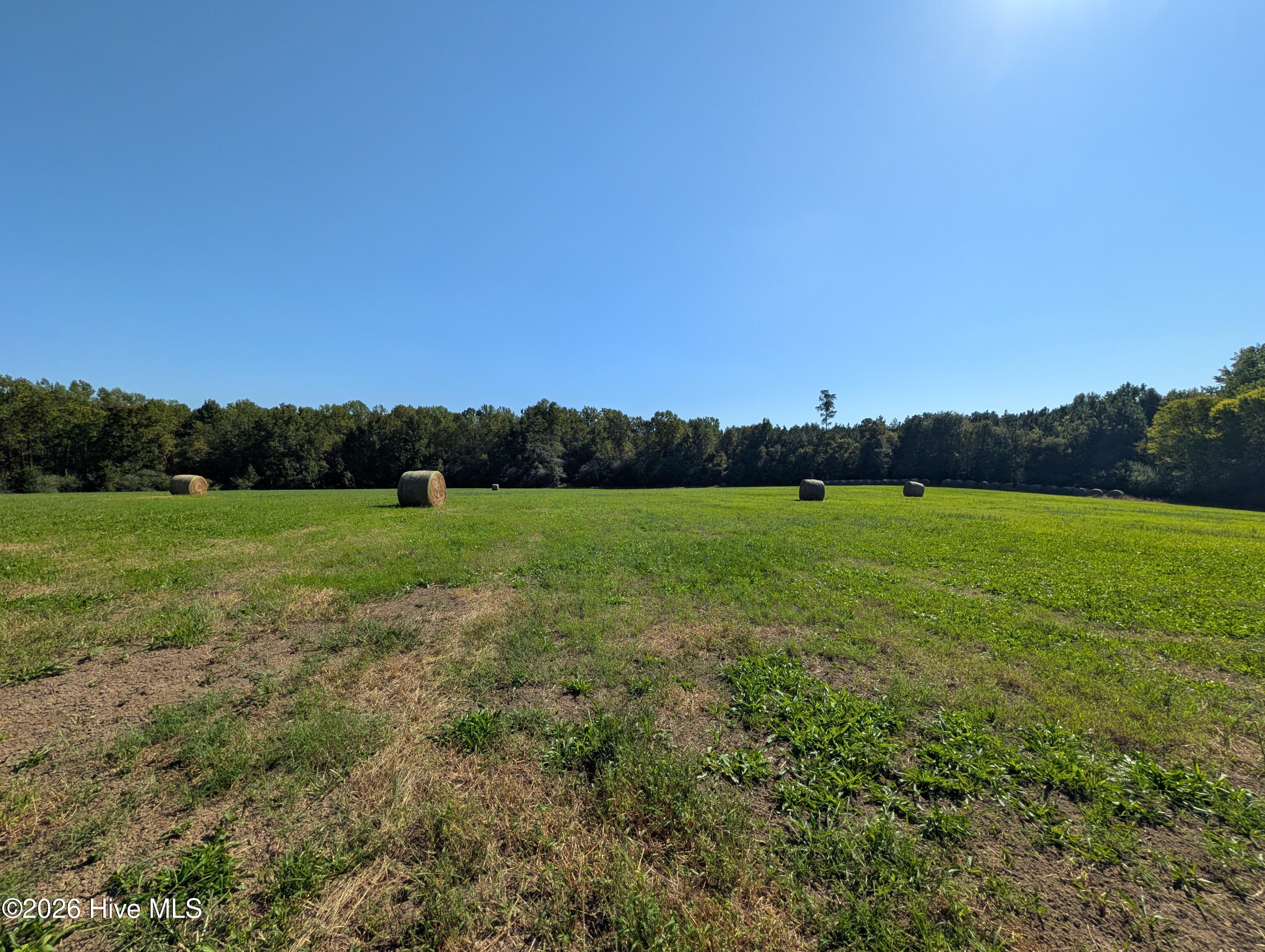 Tbd County Line Road Property Photo 6