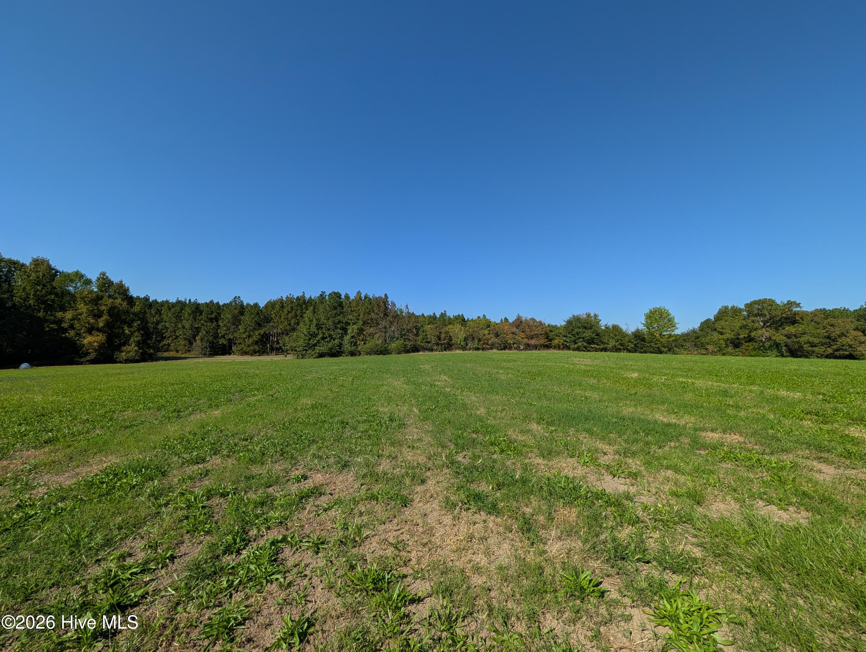 Tbd County Line Road Property Photo 7