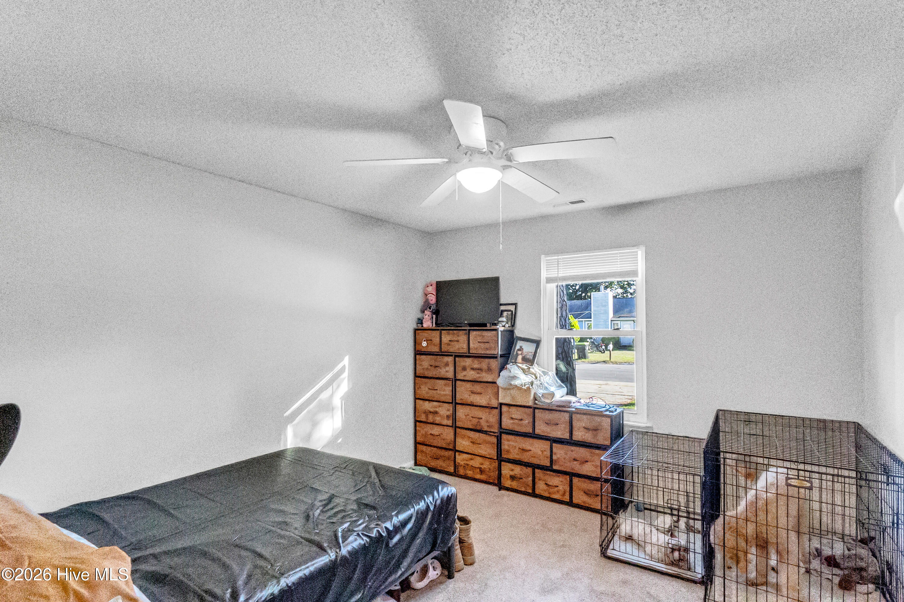 231-233 Easy Street Property Photo 40