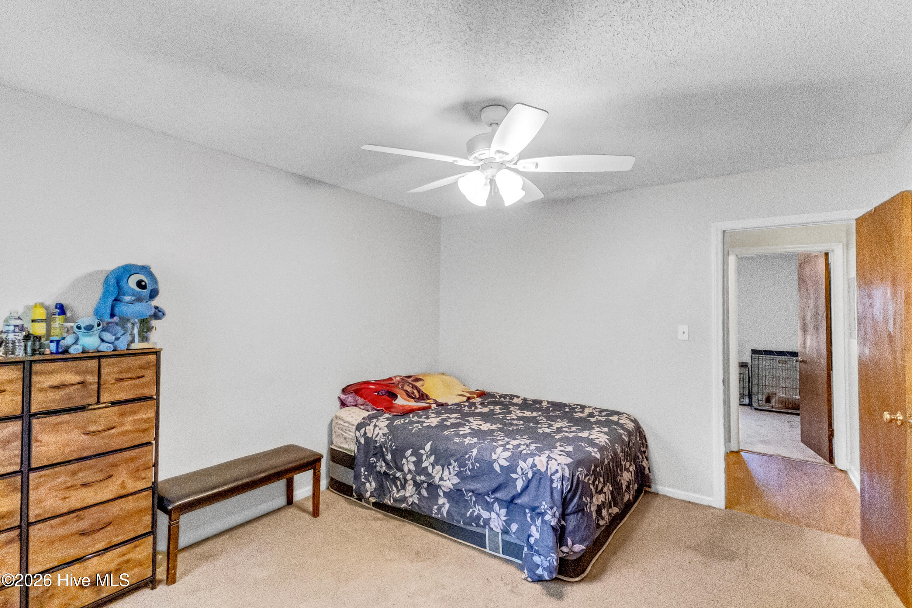 233 Easy Street Property Photo 11