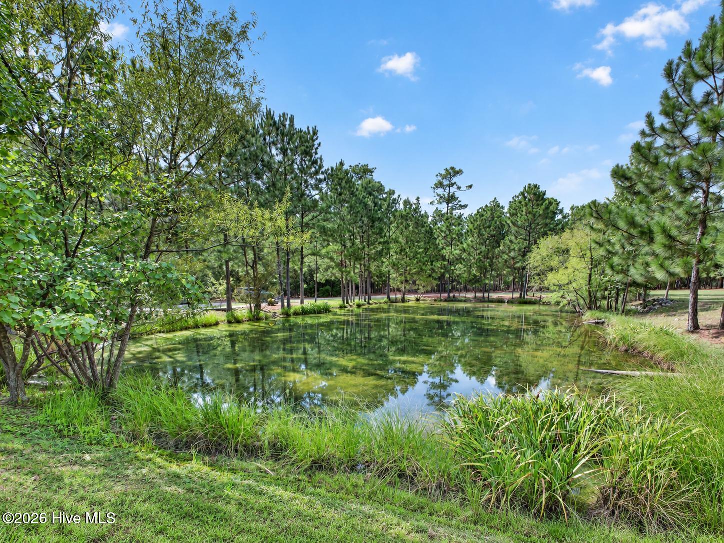 505 Maxwell Road Property Photo 11