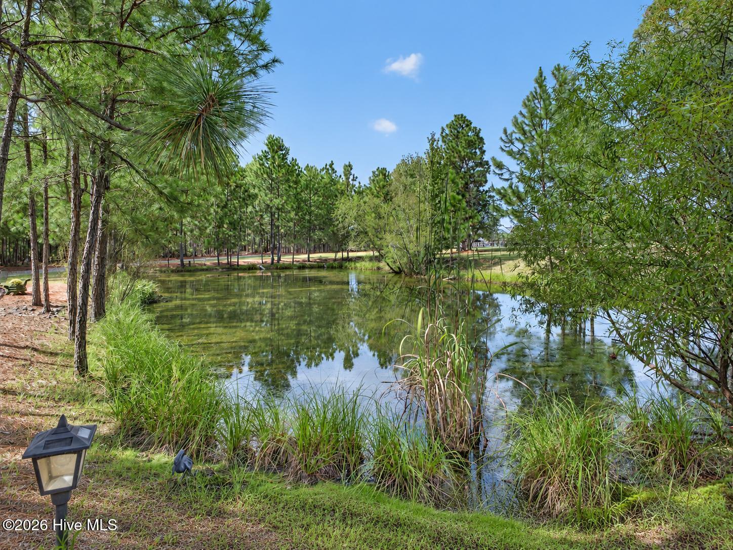 505 Maxwell Road Property Photo 12