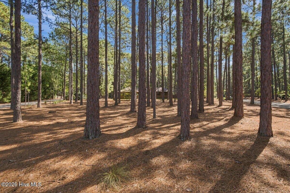 375 Swoope Drive Property Photo 63