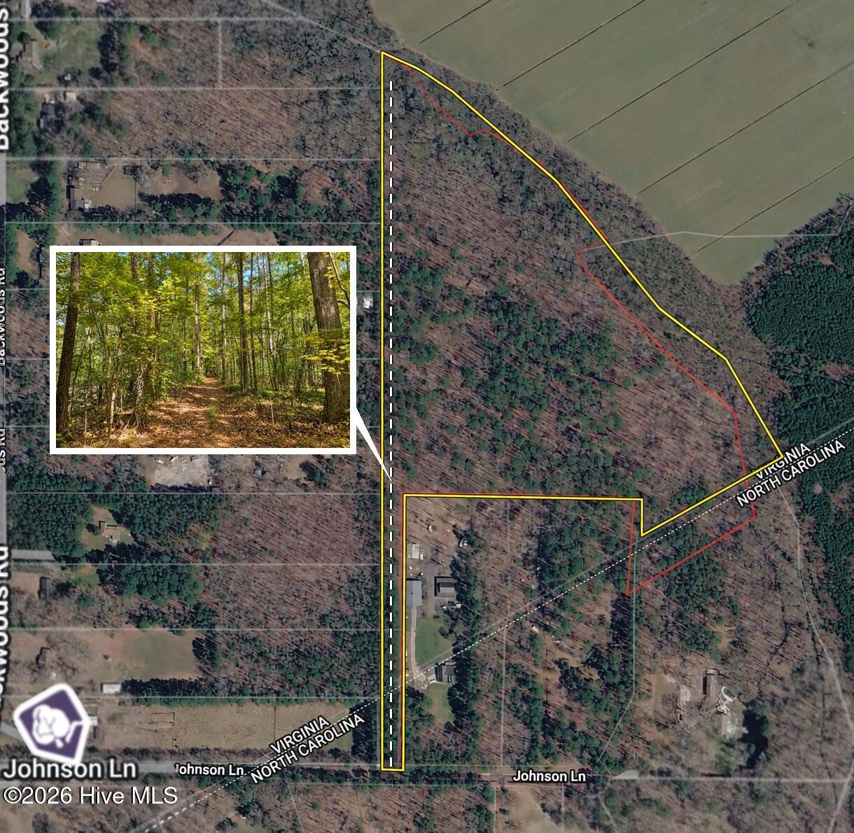 0.35 Ac Johnson Lane Property Photo 1