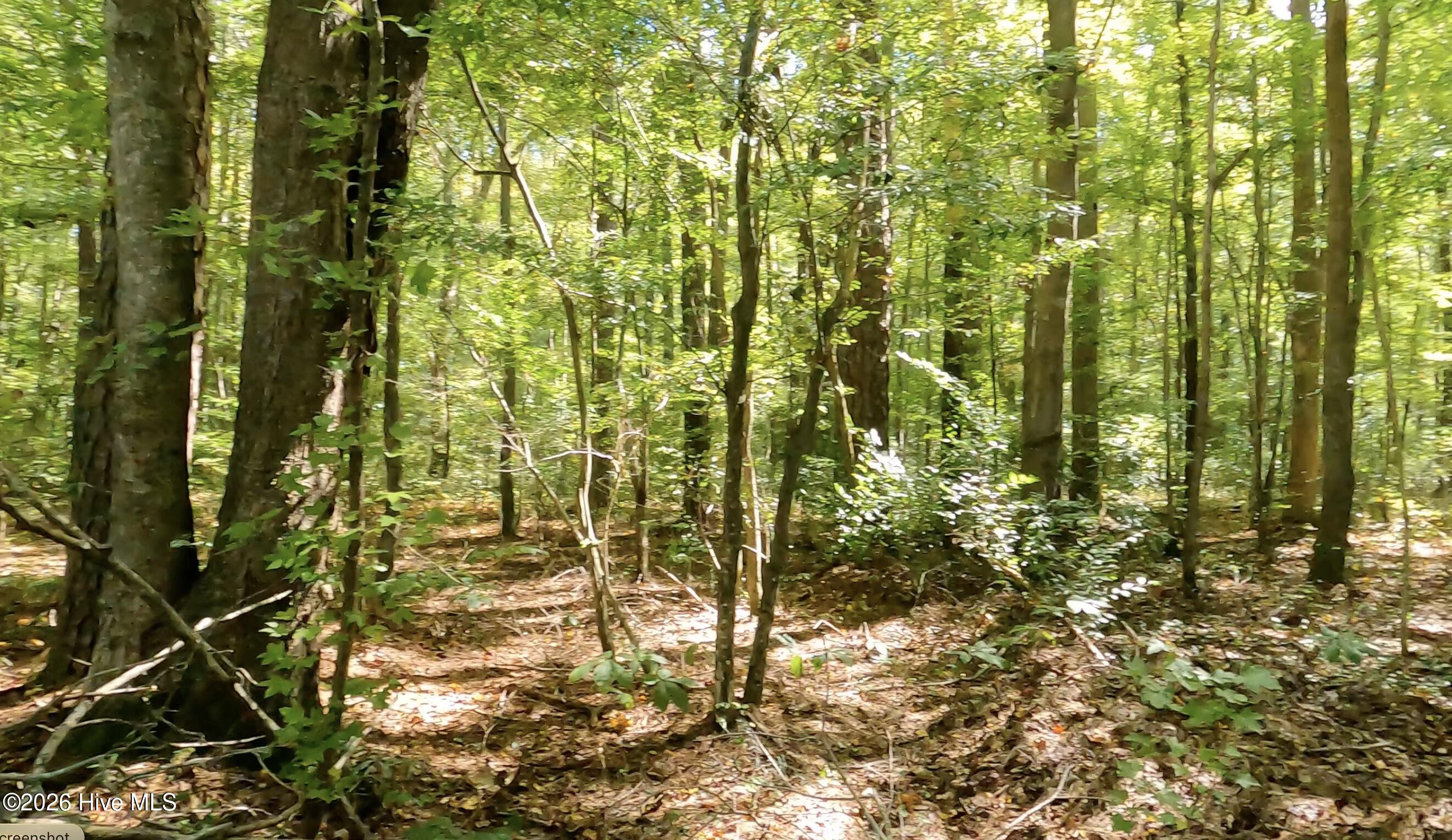 0.35 Ac Johnson Lane Property Photo 10