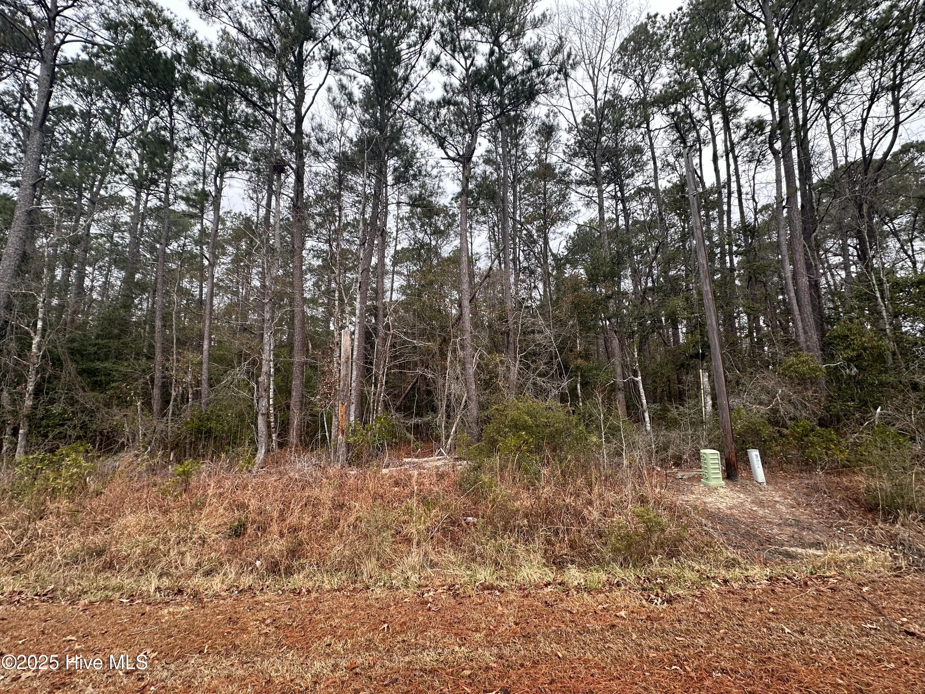 151 Dogwood Trail Sw Property Photo 2