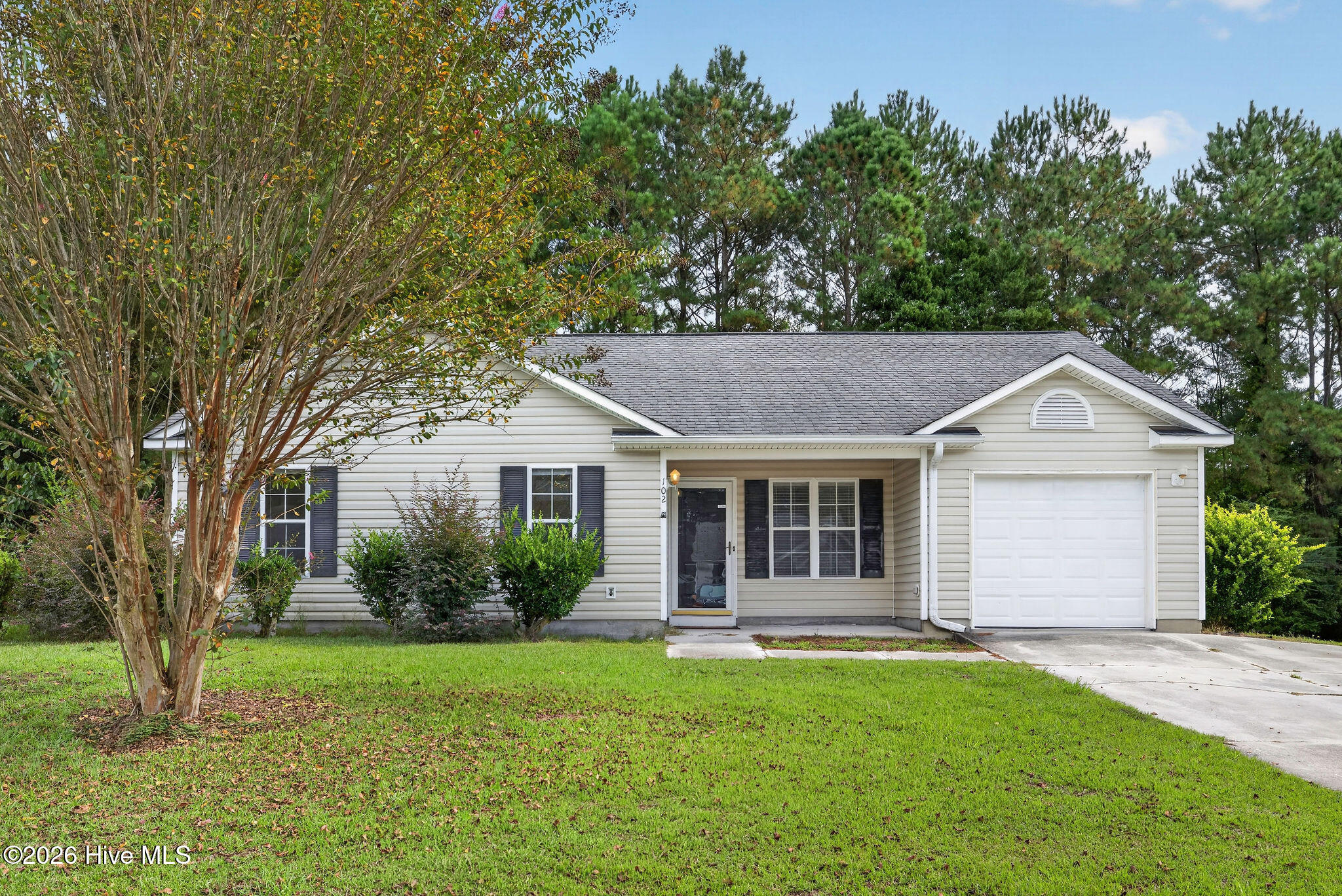 102 Tealbriar Street Property Photo 3
