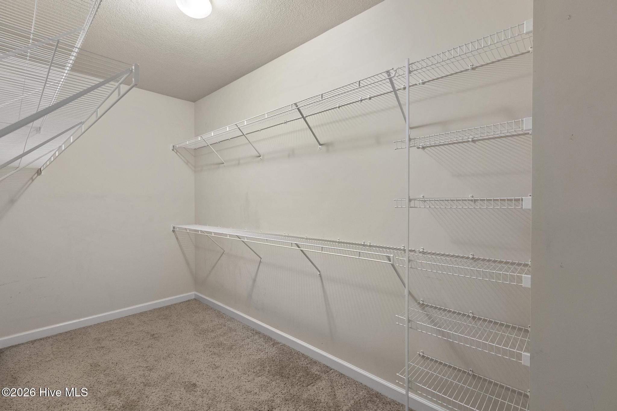 502 Caldwell Loop Property Photo 19