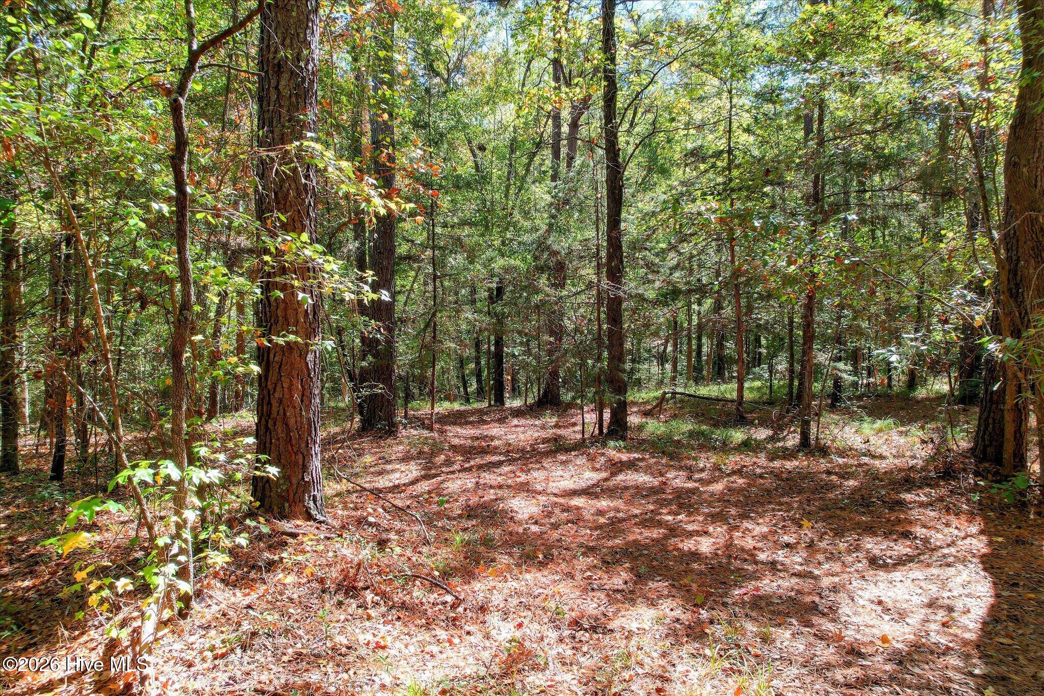 2583 Scotts Ferry Road Property Photo 44