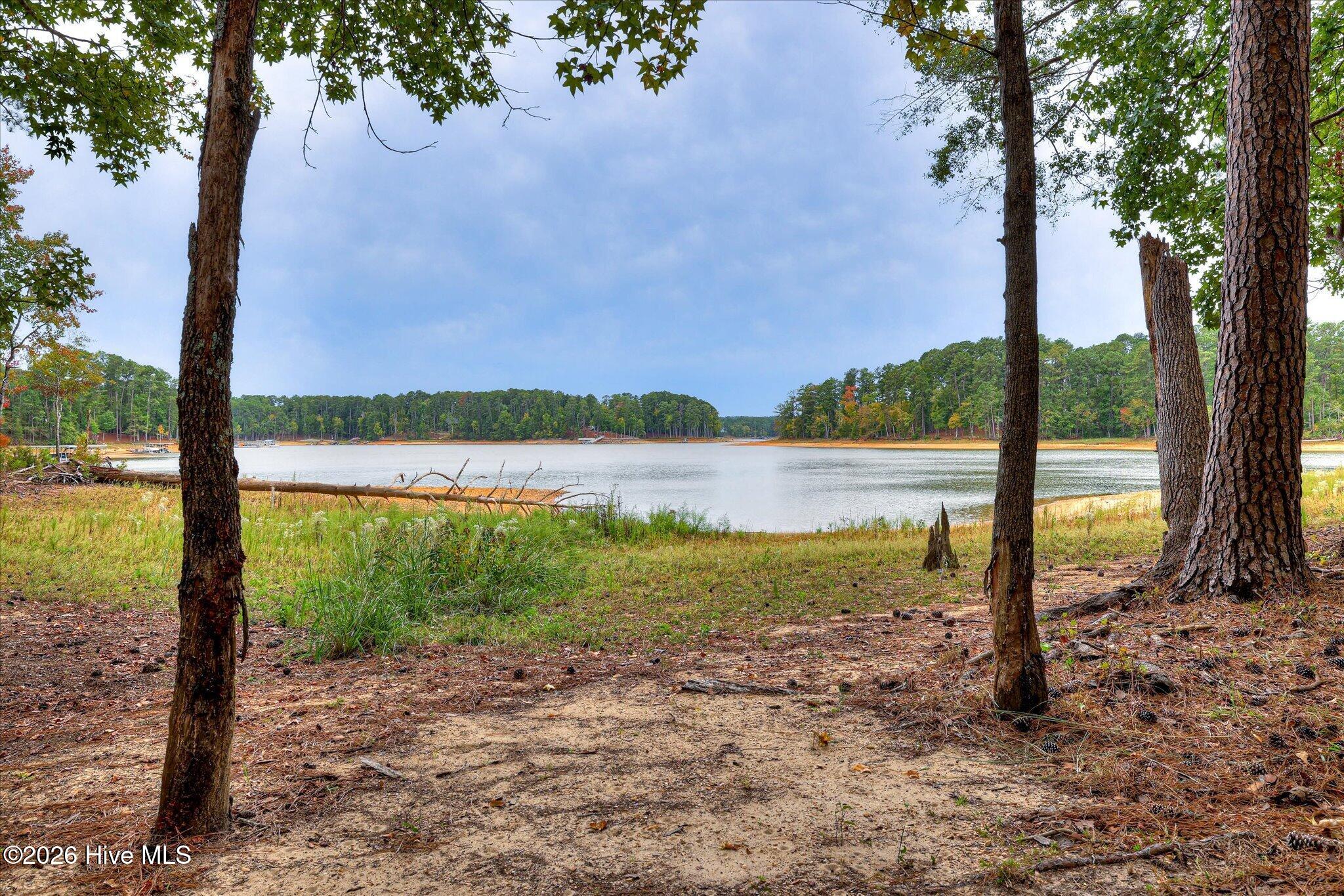 204 Chickadee Court Property Photo 47
