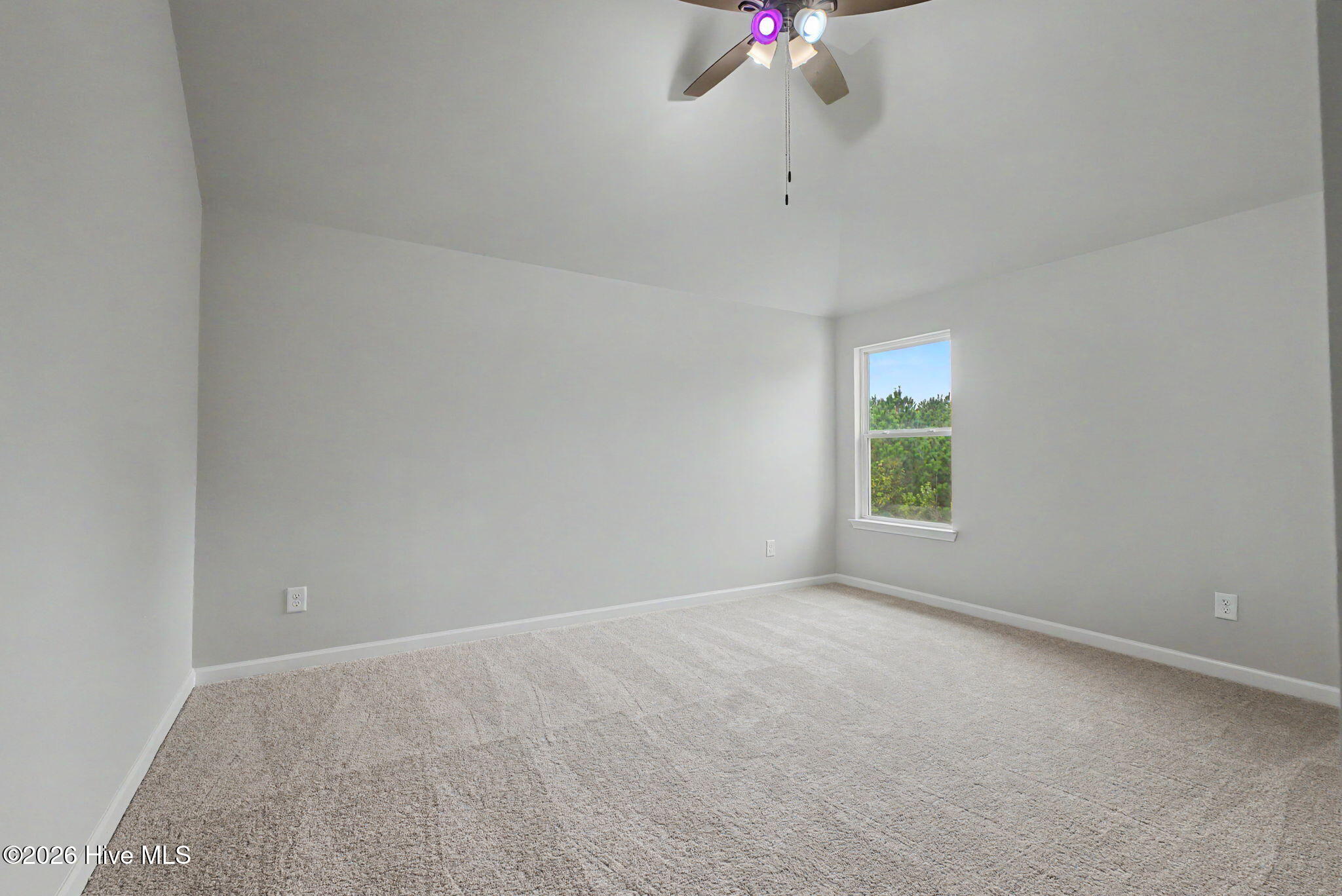 894 Rollo Domino Circle Property Photo 23