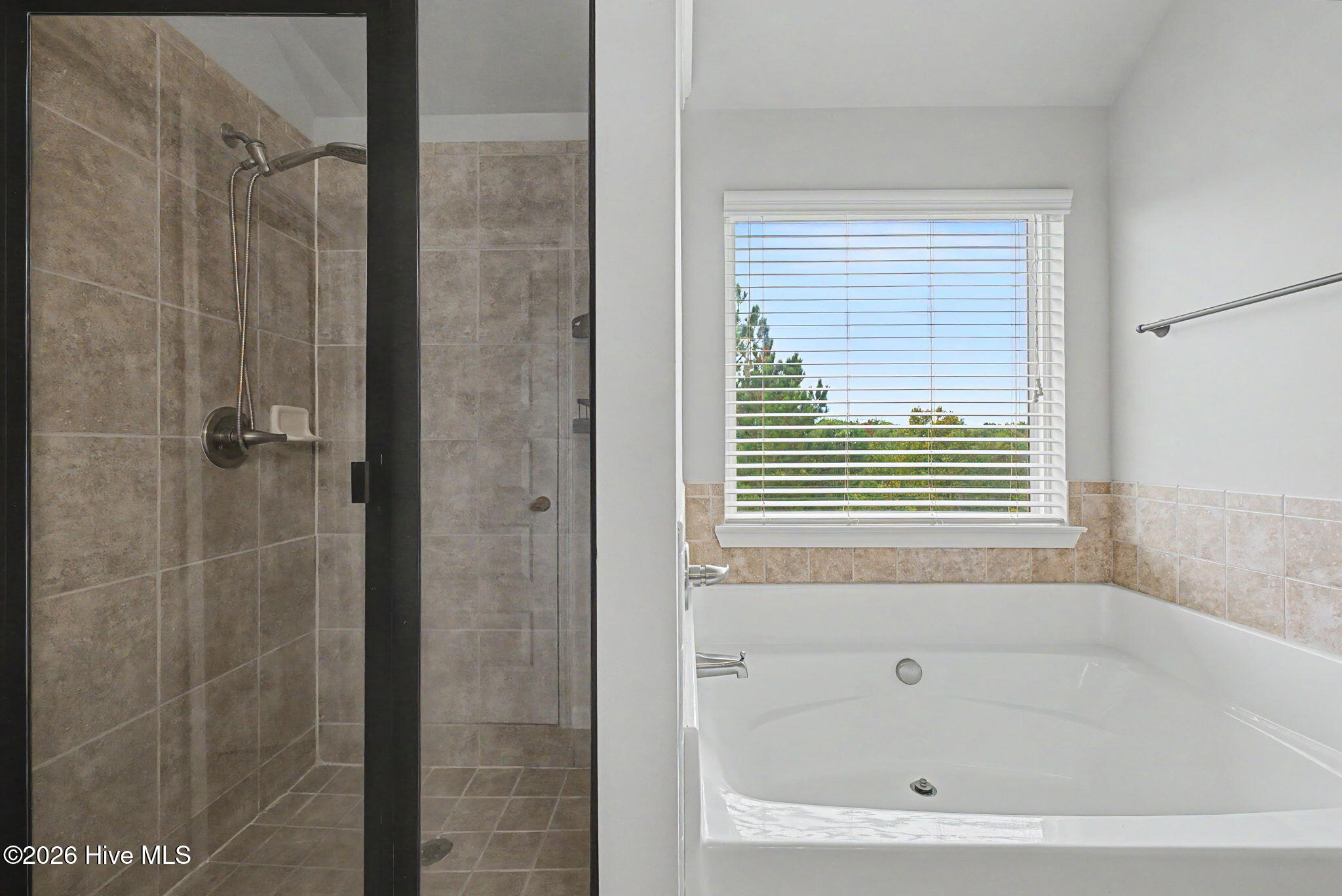 894 Rollo Domino Circle Property Photo 37