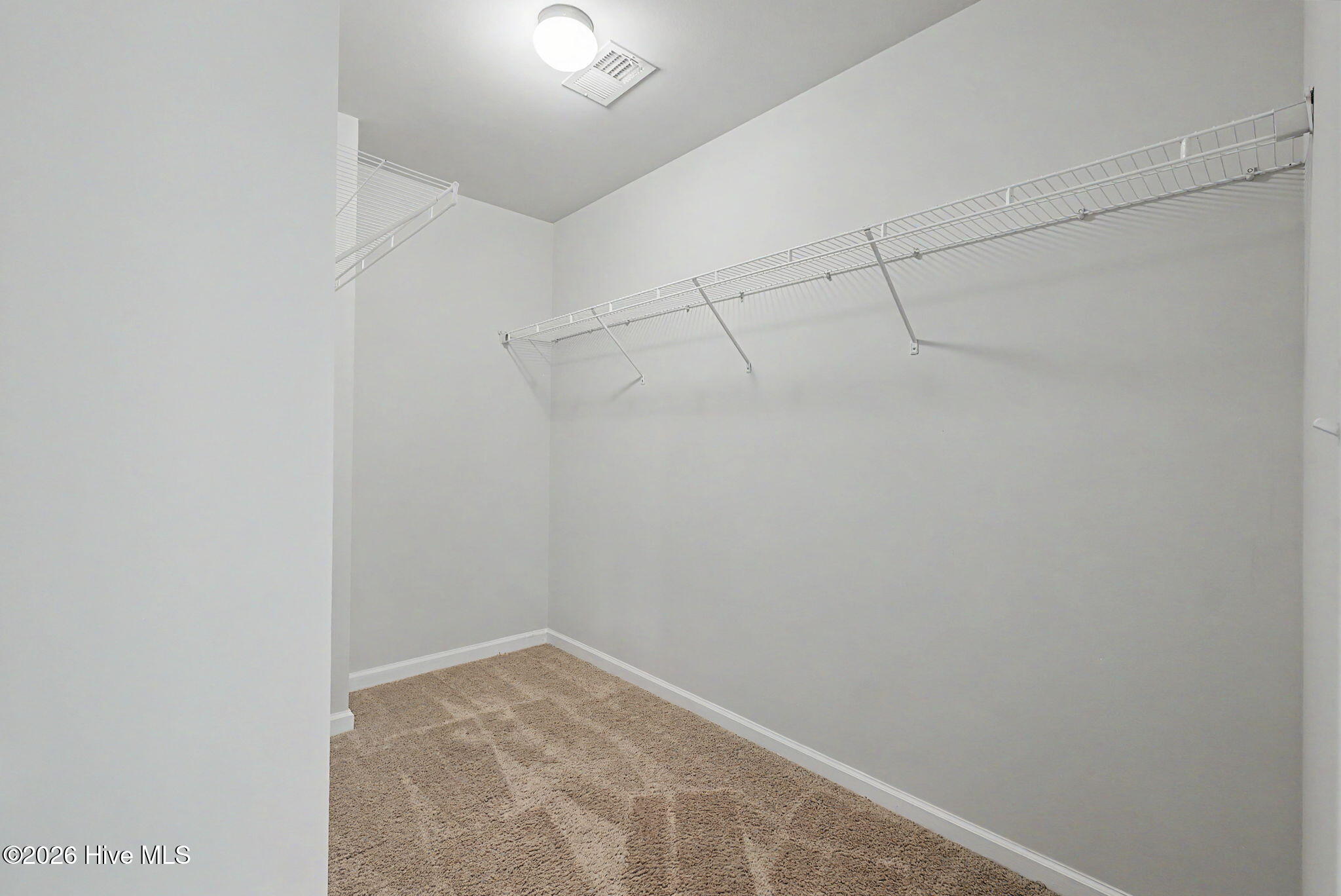 894 Rollo Domino Circle Property Photo 39