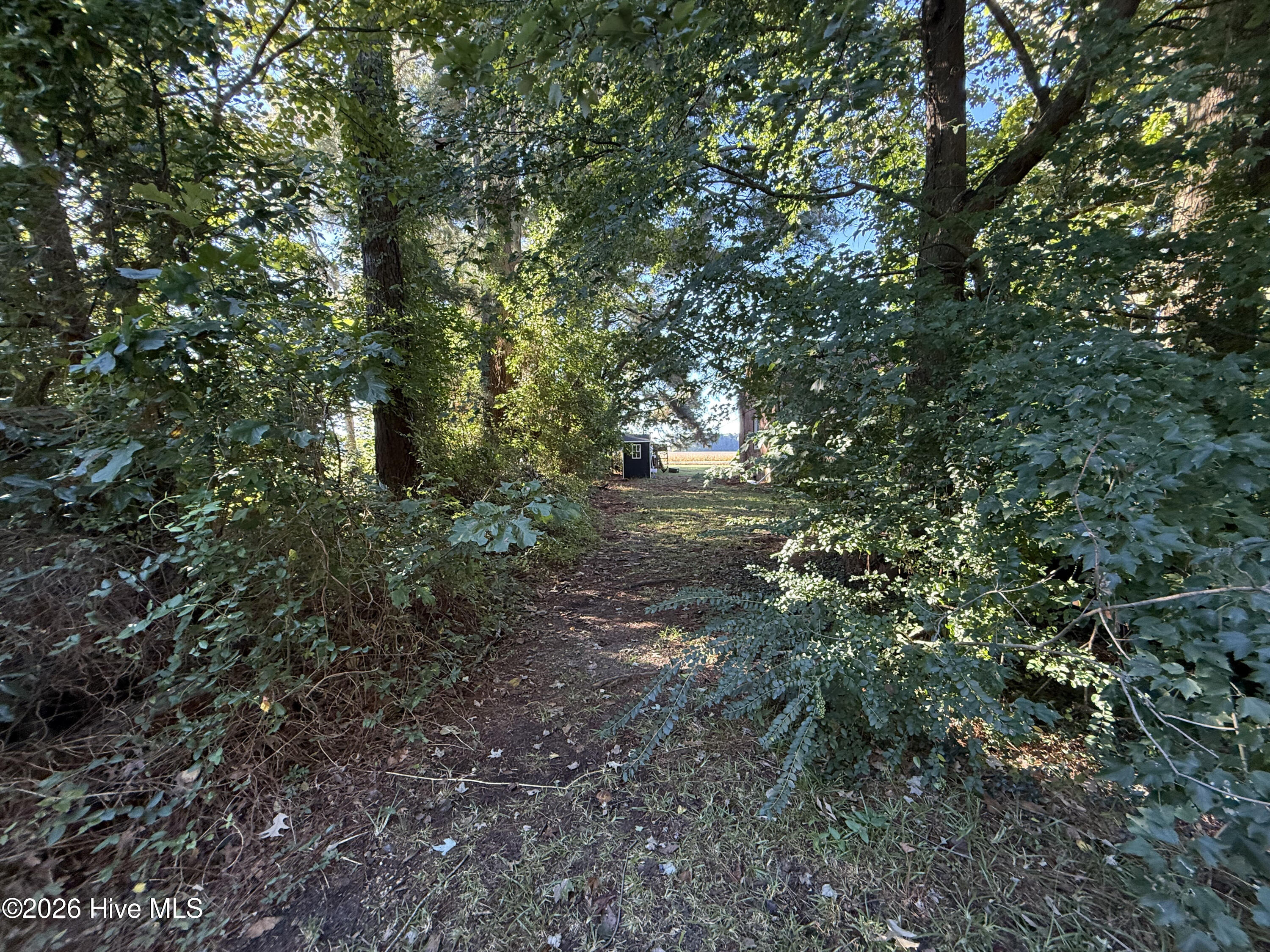 1946 Paradise Road Property Photo 32