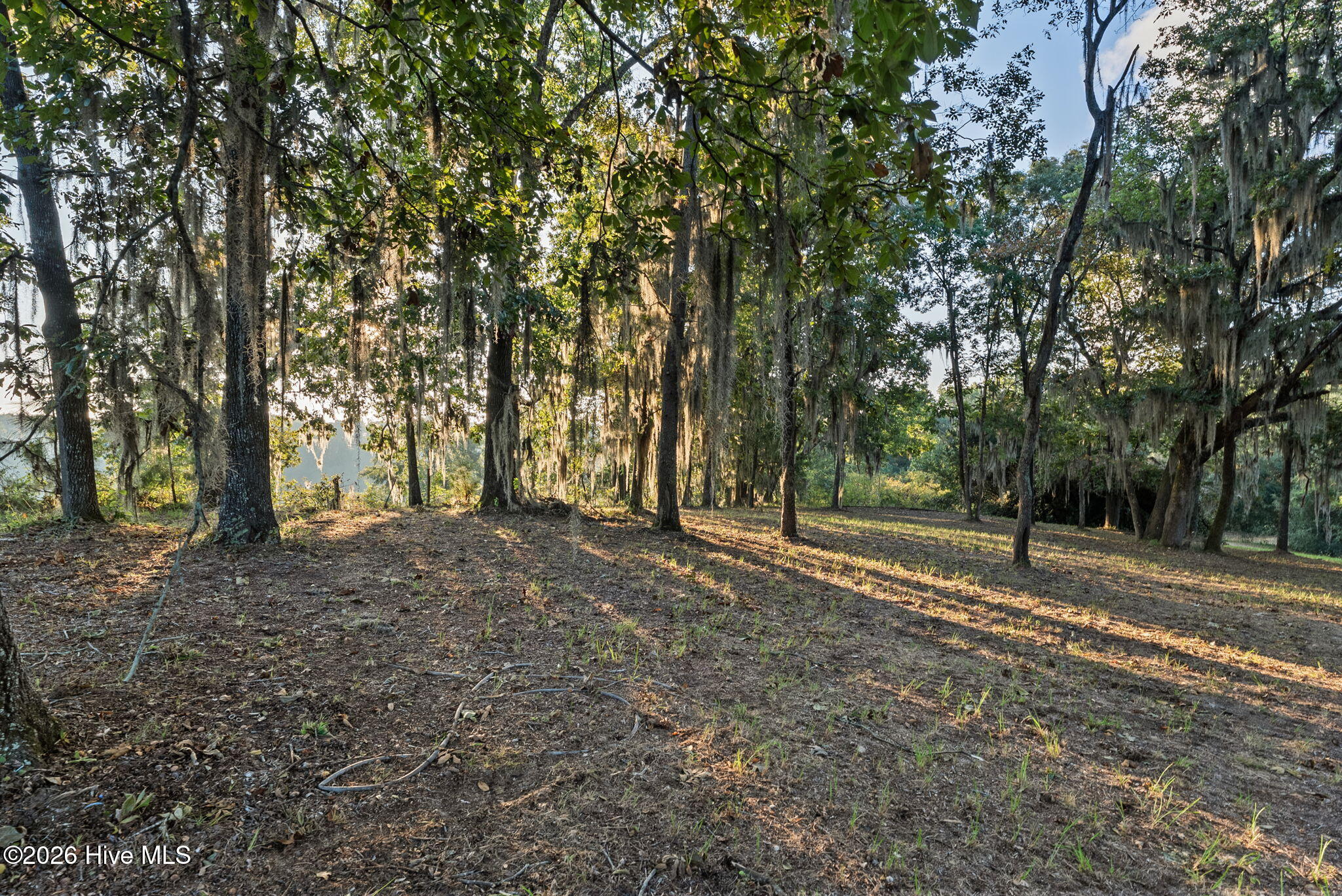 3587 Hancock Landing Road Property Photo 62
