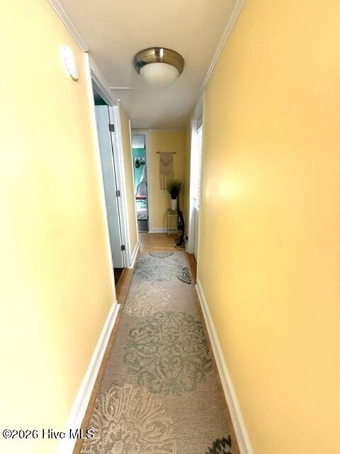 207 Bayshore Drive Property Photo 14