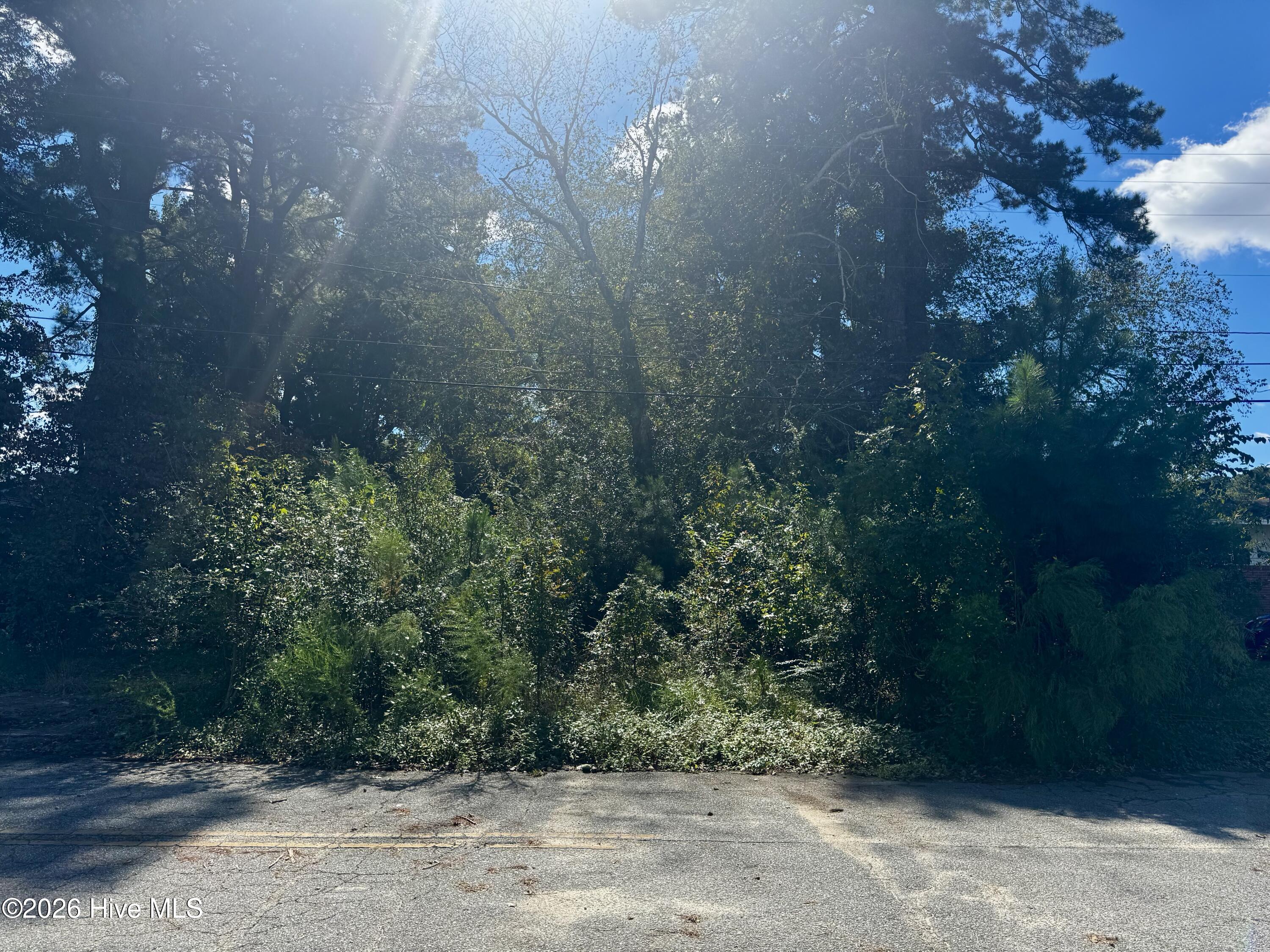 1401 Mewborn Avenue Property Photo 1