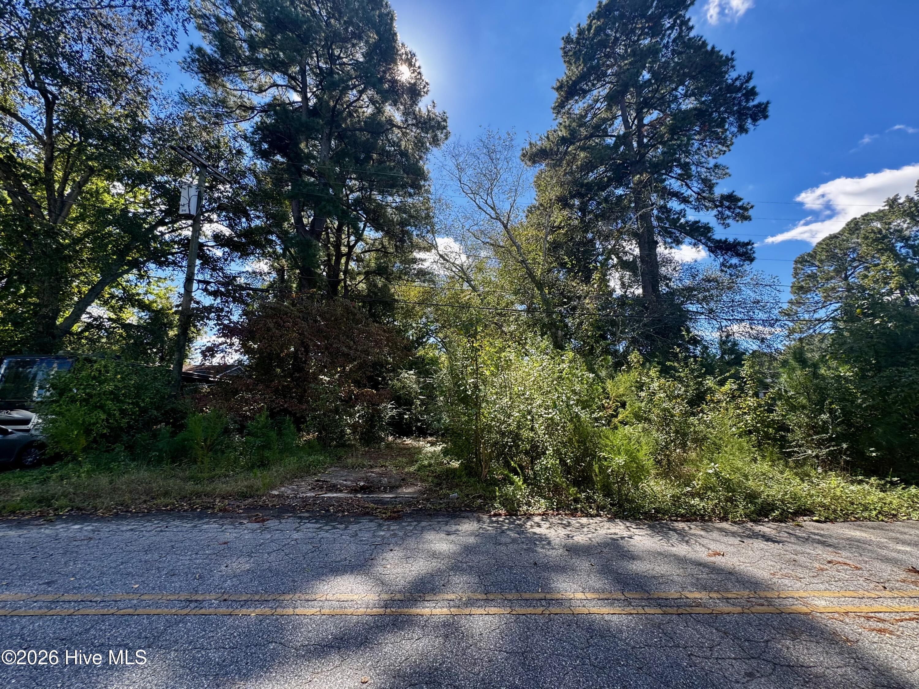 1401 Mewborn Avenue Property Photo 2