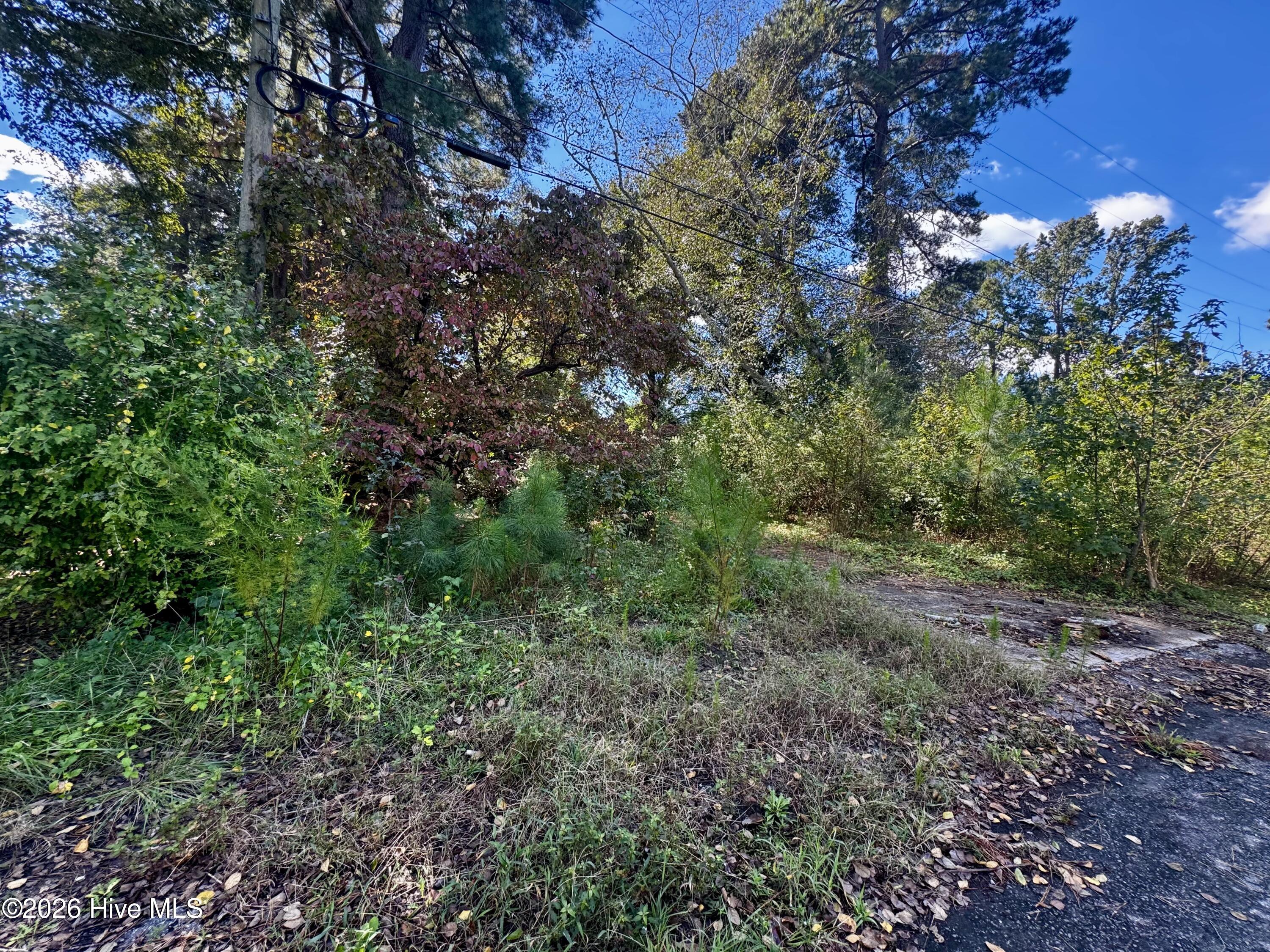 1401 Mewborn Avenue Property Photo 3