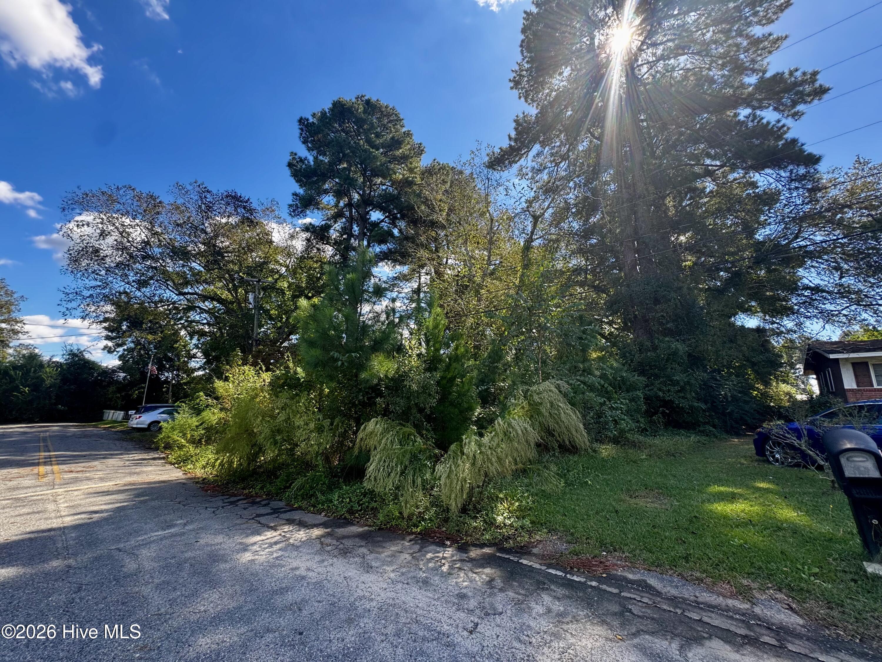 1401 Mewborn Avenue Property Photo 4