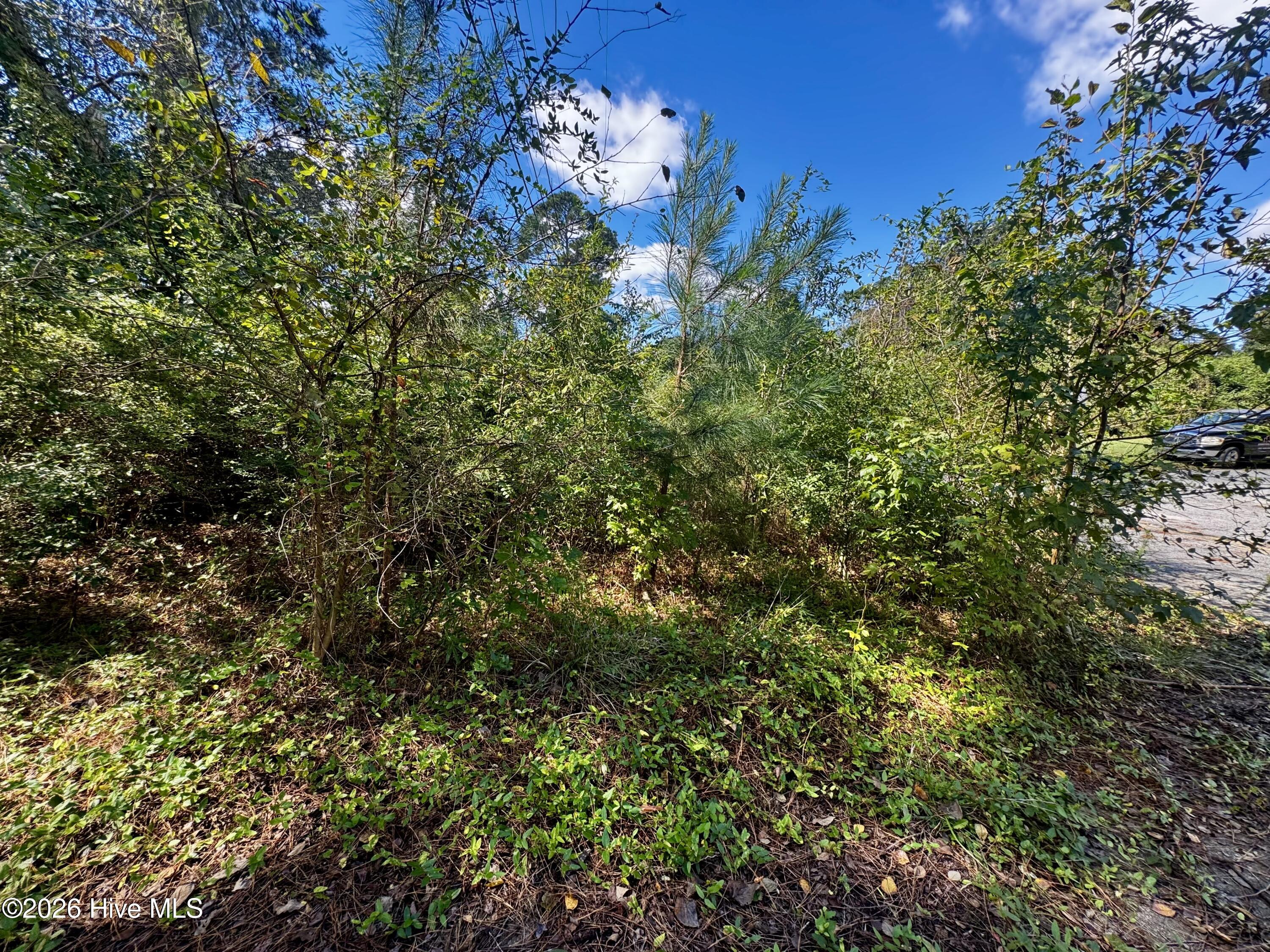 1401 Mewborn Avenue Property Photo 5