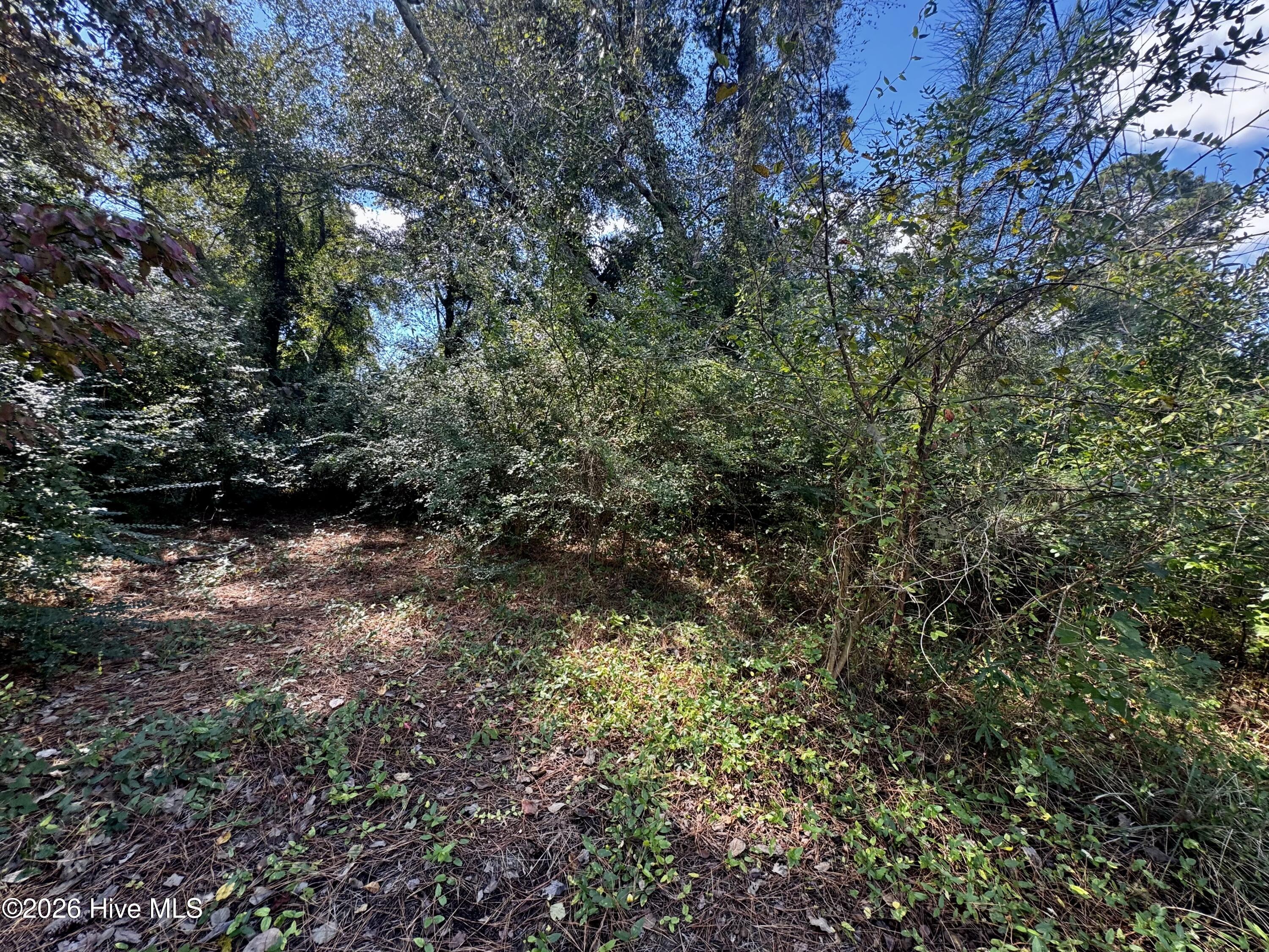 1401 Mewborn Avenue Property Photo 6