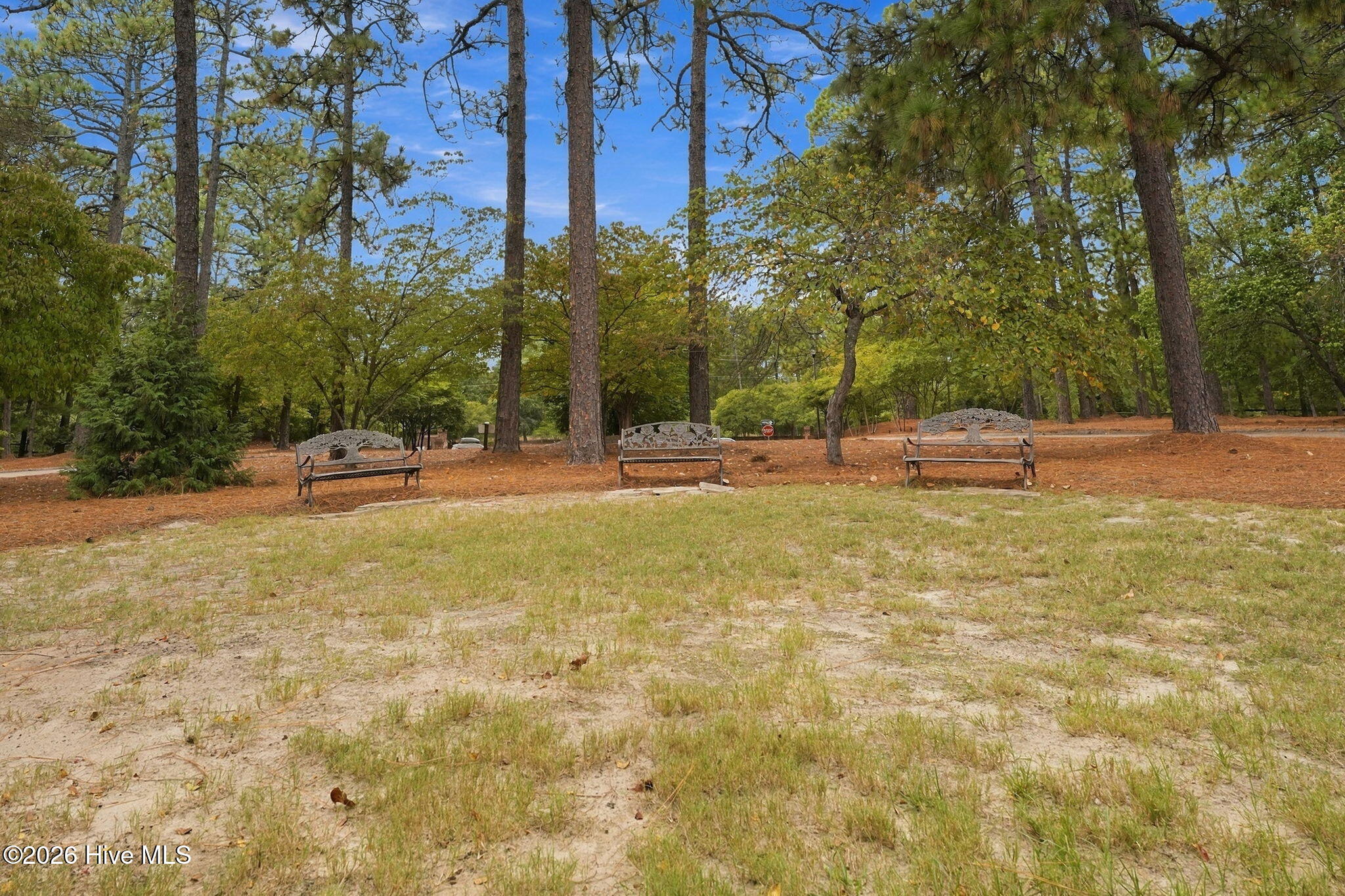 9265 Us 15-501 Highway 9g Road G Property Photo 39