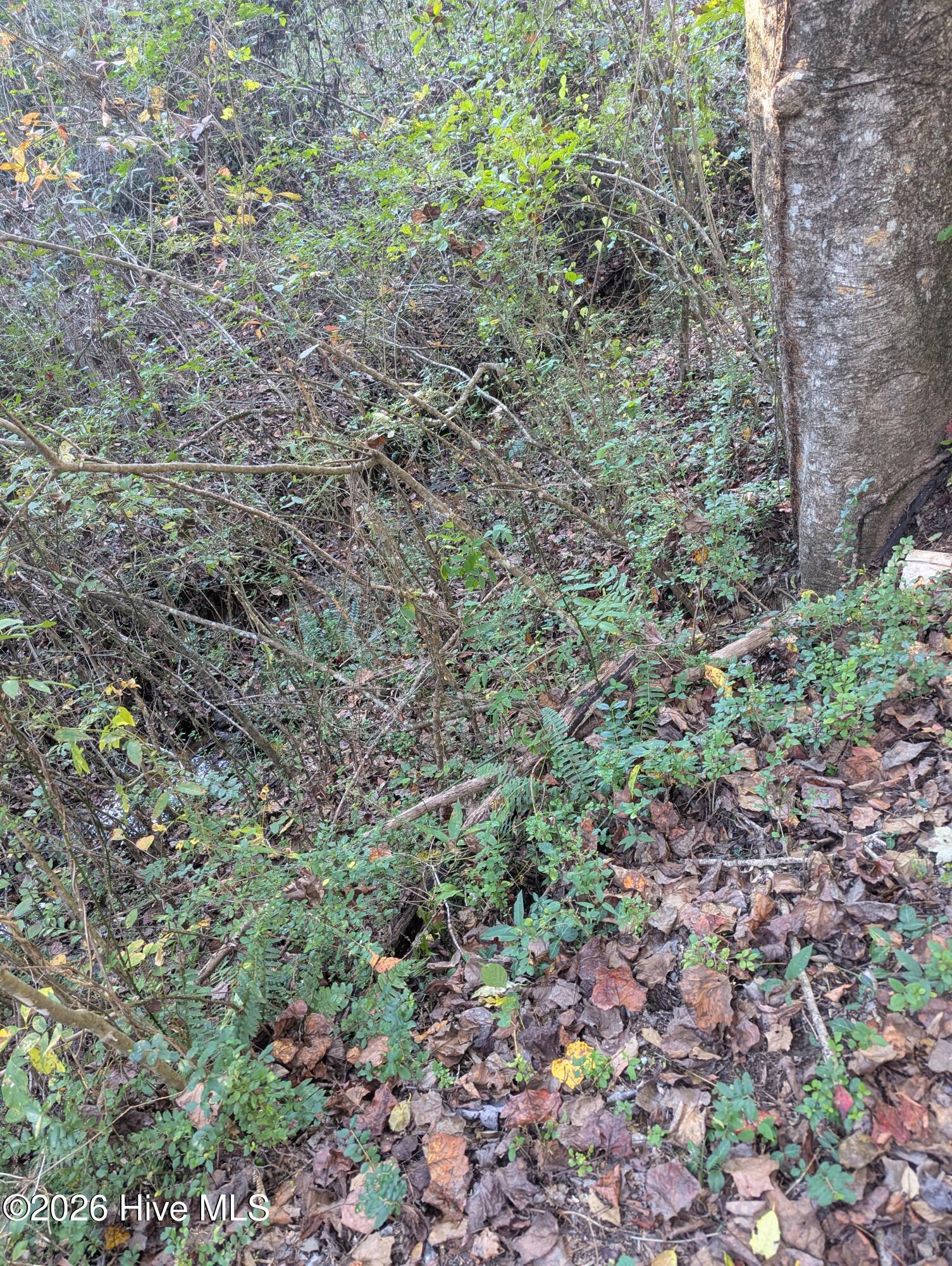 1226 Reservoir Road Property Photo 31