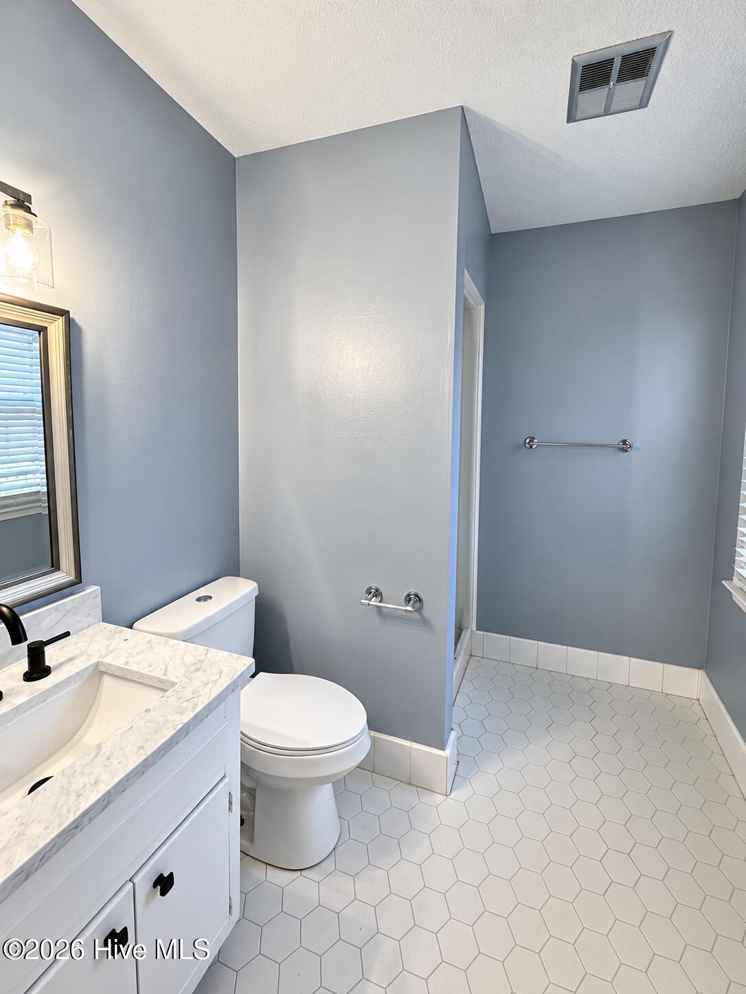 101 Pickwick Court Property Photo 9