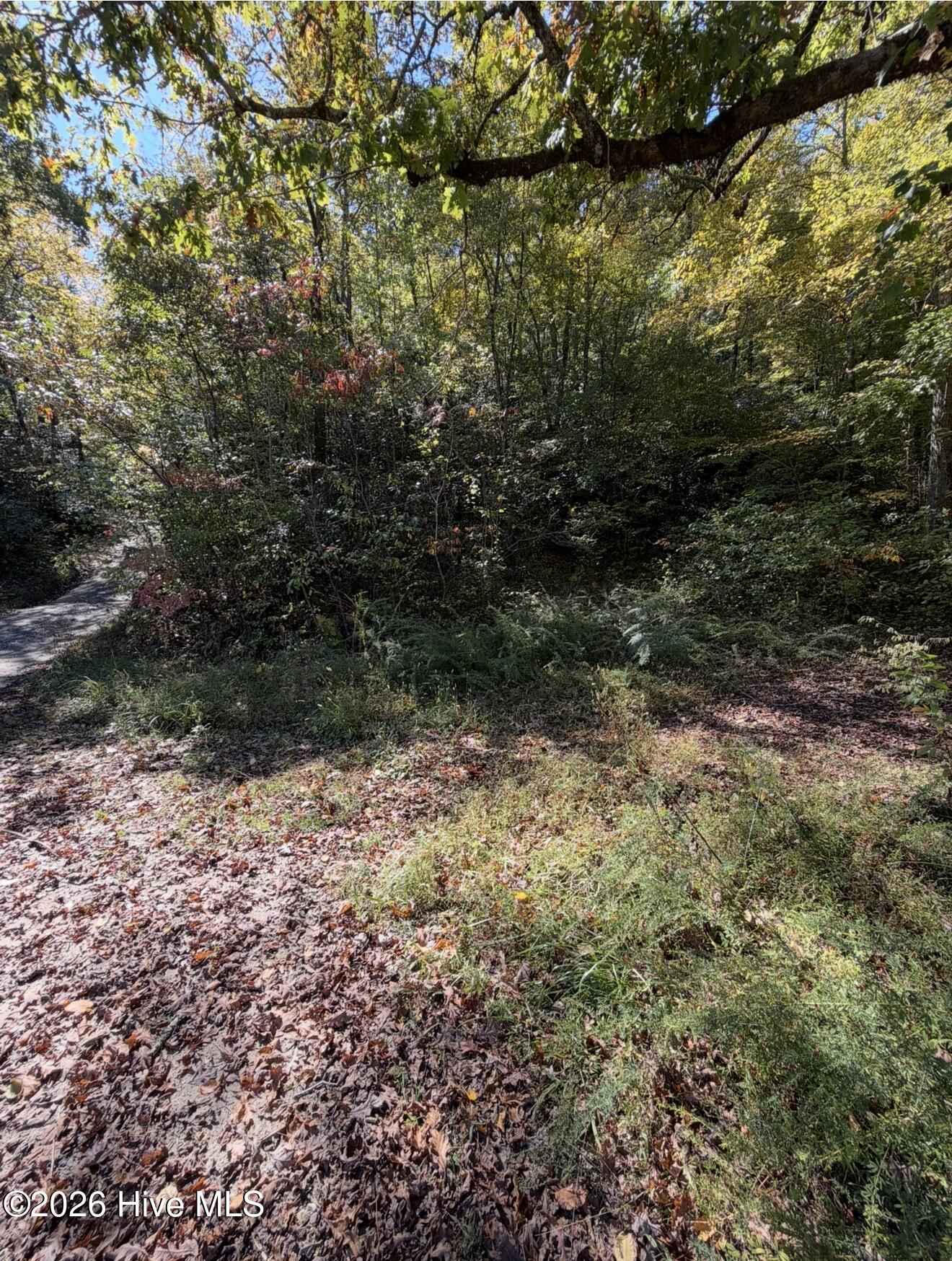 2290 Healy Fields Road Property Photo 1
