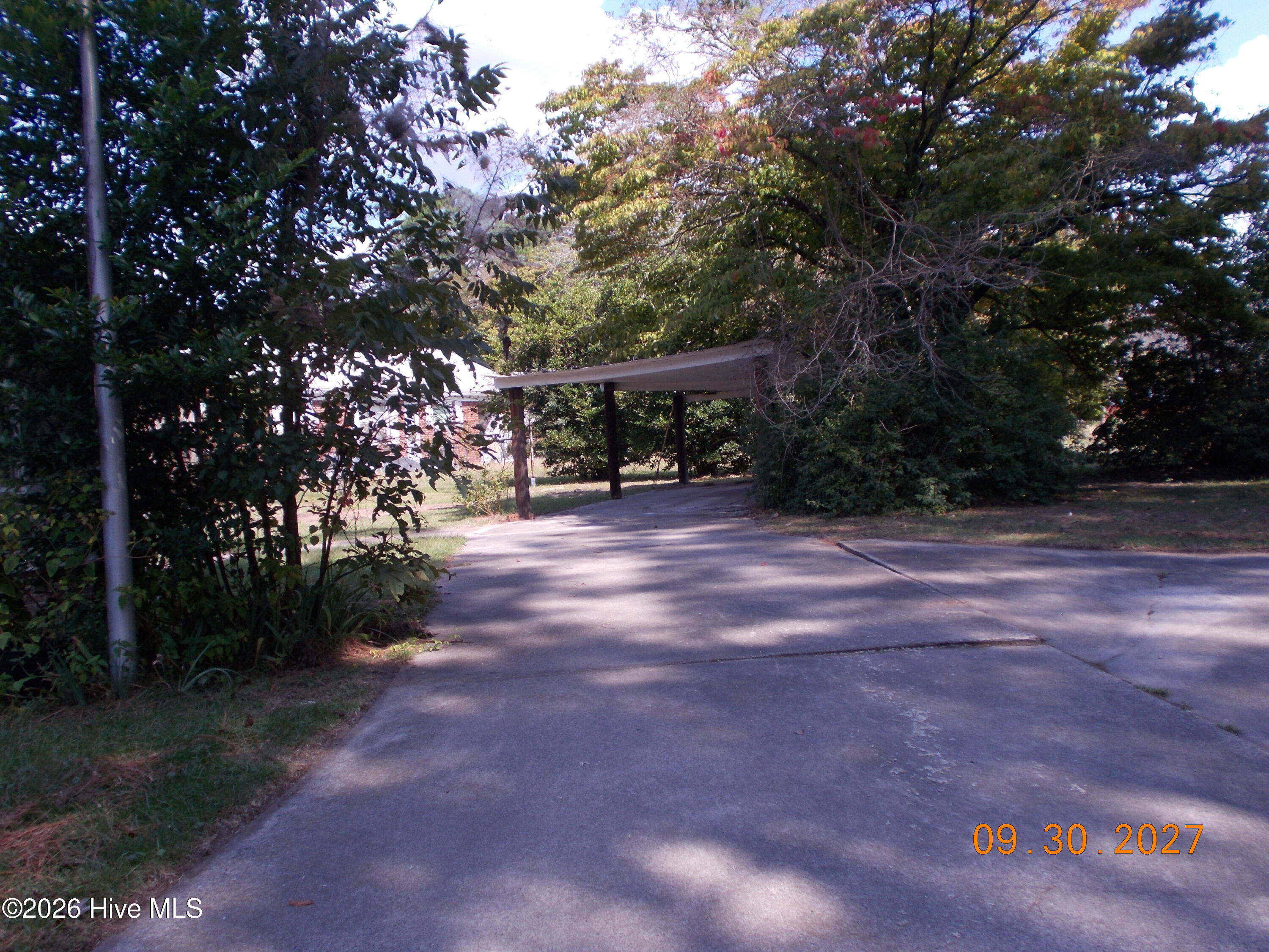 805 Sycamore Avenue Property Photo 3