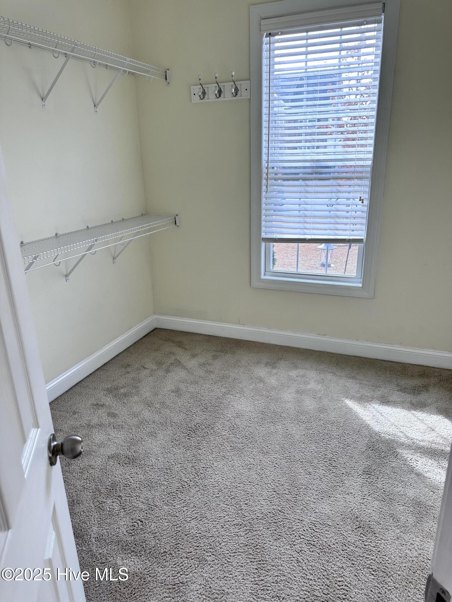 114 Hills Lorough Loop Property Photo 14
