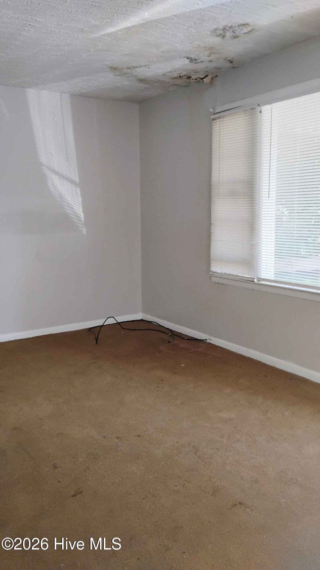 264 Japonica Avenue Property Photo 3