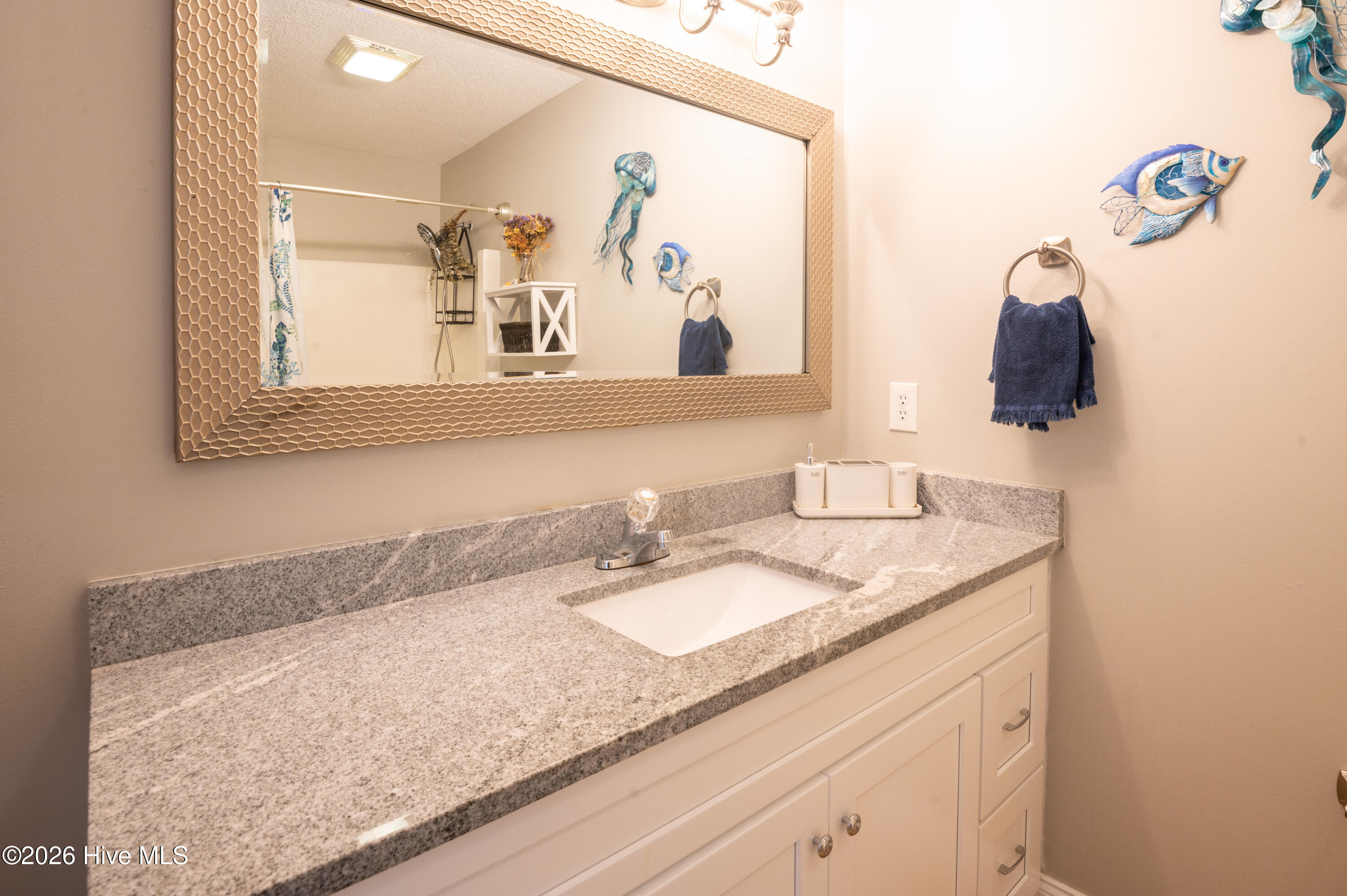 819 Brewster Lane Property Photo 22